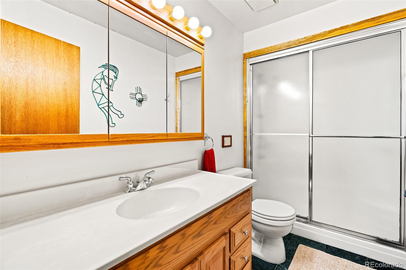 MLS Image #18 for 163  meadow view lane,fairplay, Colorado