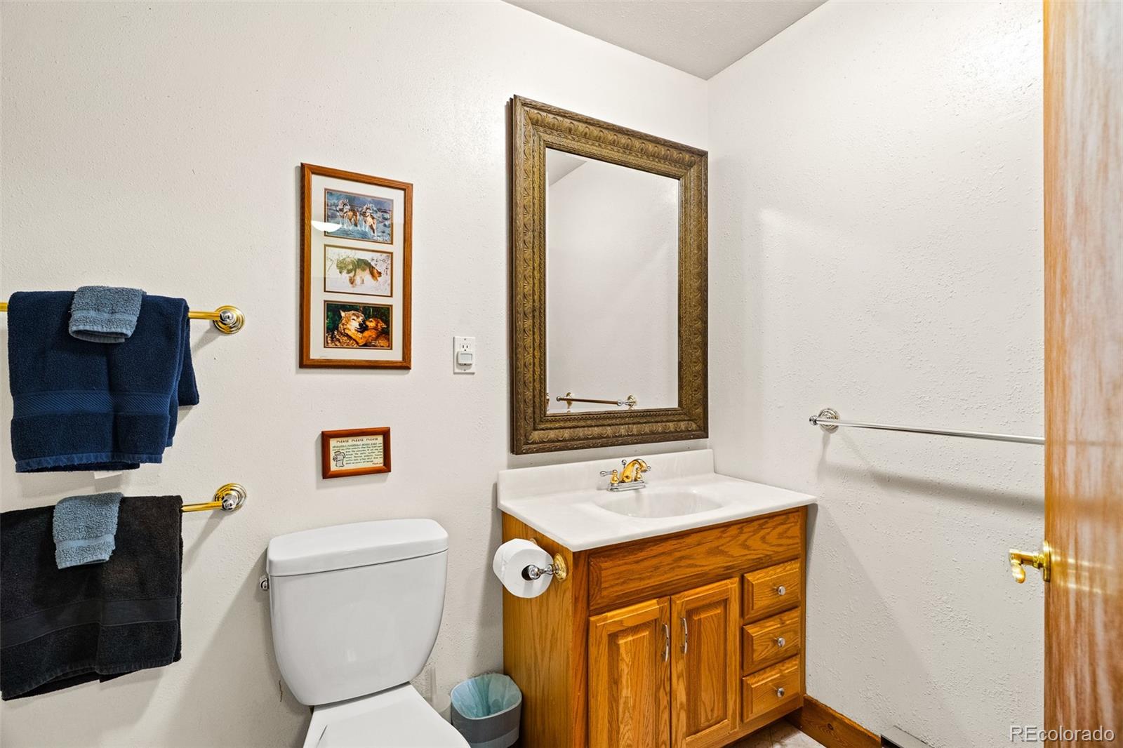 MLS Image #20 for 163  meadow view lane,fairplay, Colorado