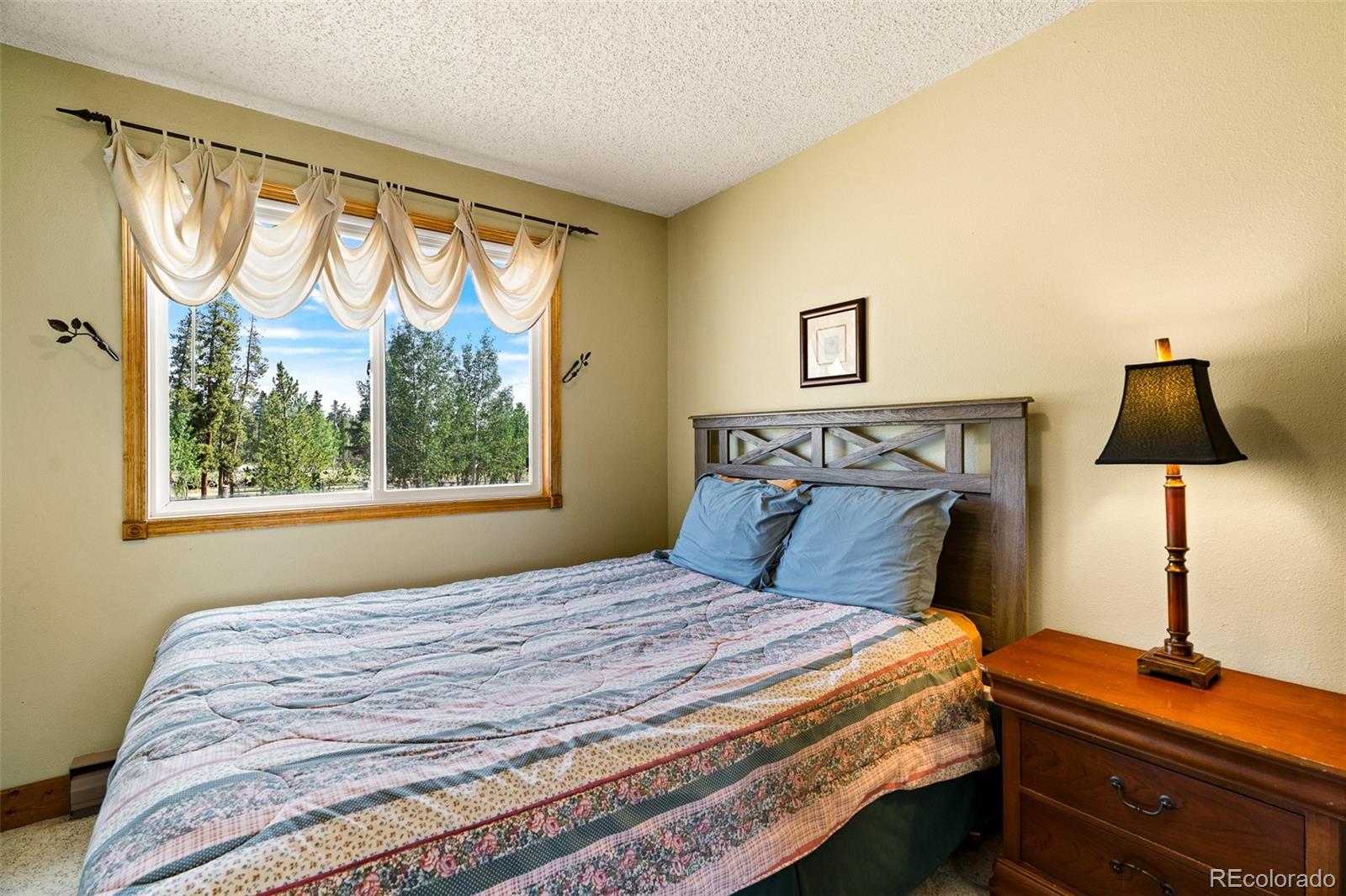 MLS Image #21 for 163  meadow view lane,fairplay, Colorado