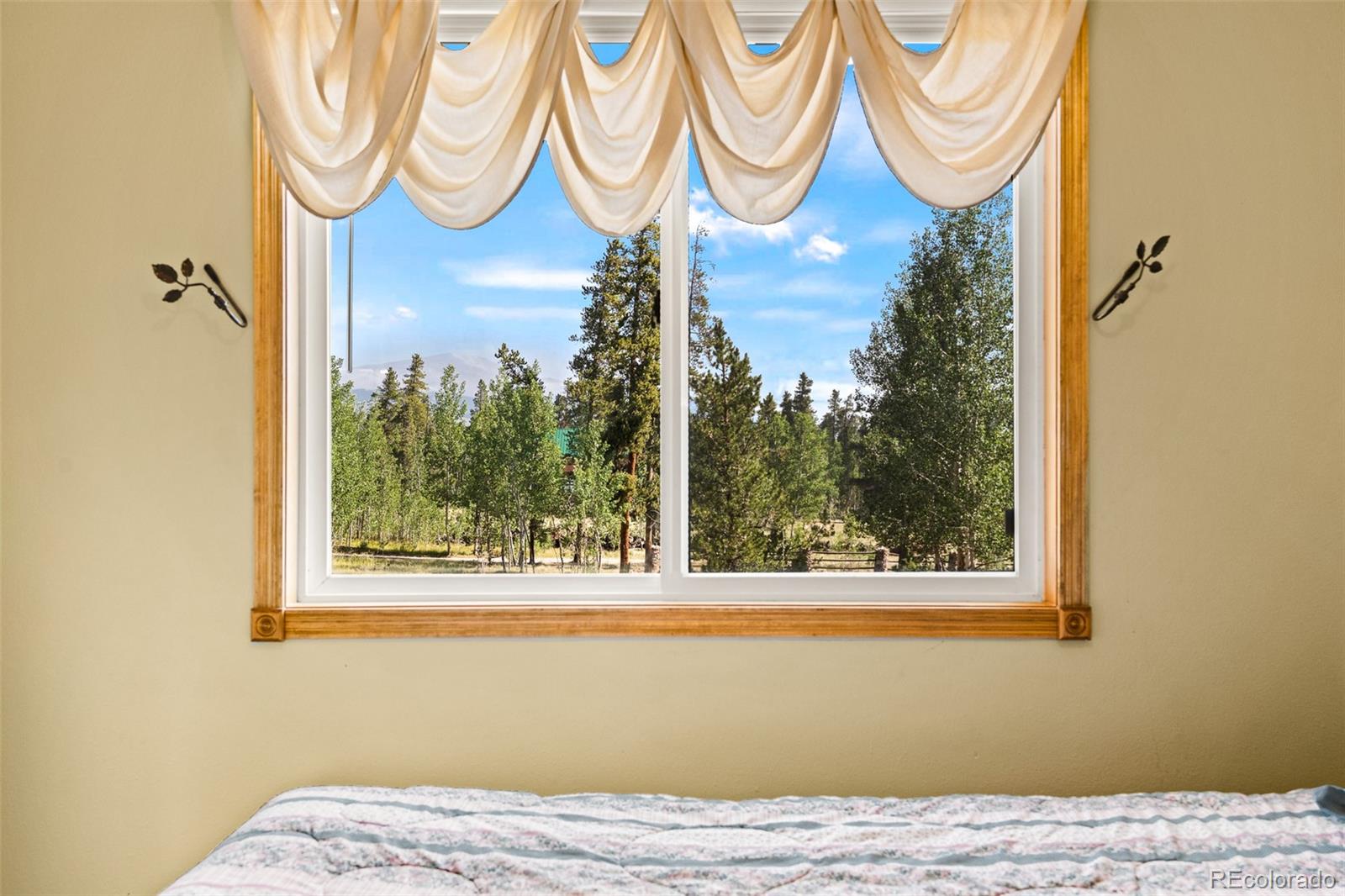 MLS Image #22 for 163  meadow view lane,fairplay, Colorado