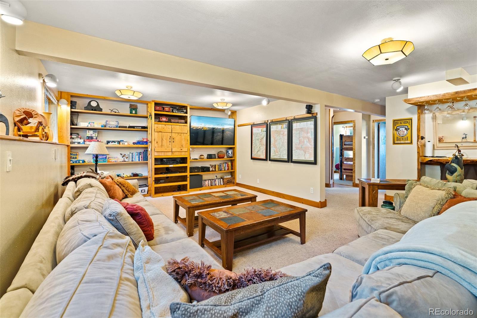 MLS Image #27 for 163  meadow view lane,fairplay, Colorado