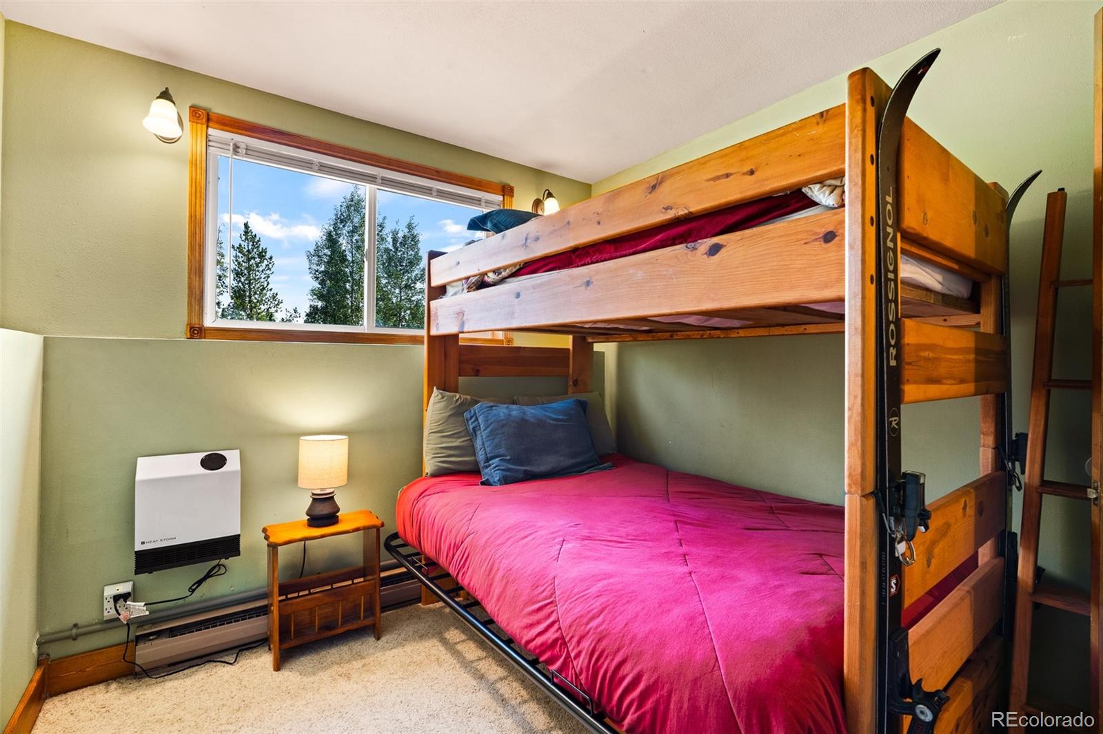 MLS Image #29 for 163  meadow view lane,fairplay, Colorado