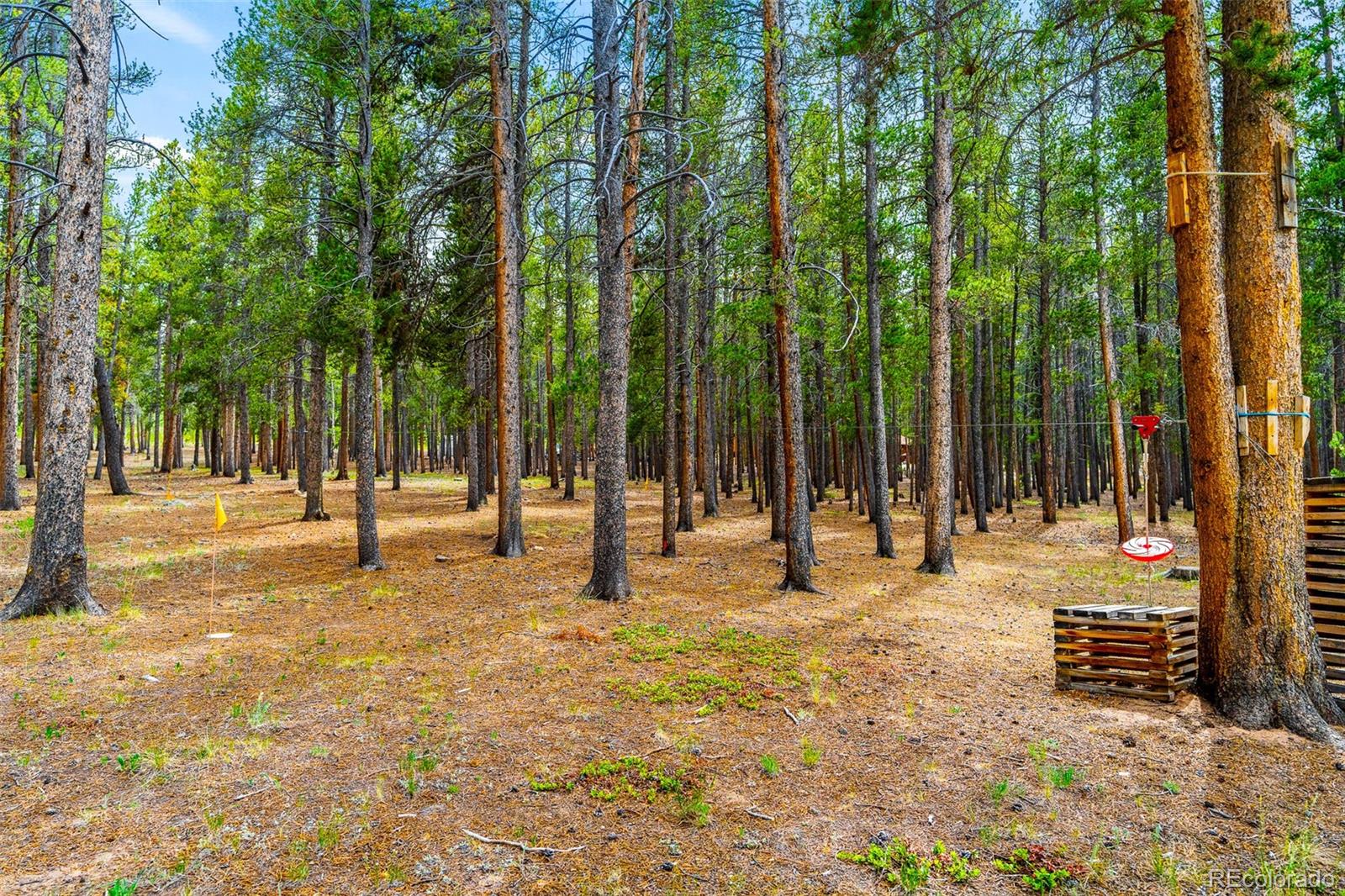 MLS Image #38 for 163  meadow view lane,fairplay, Colorado