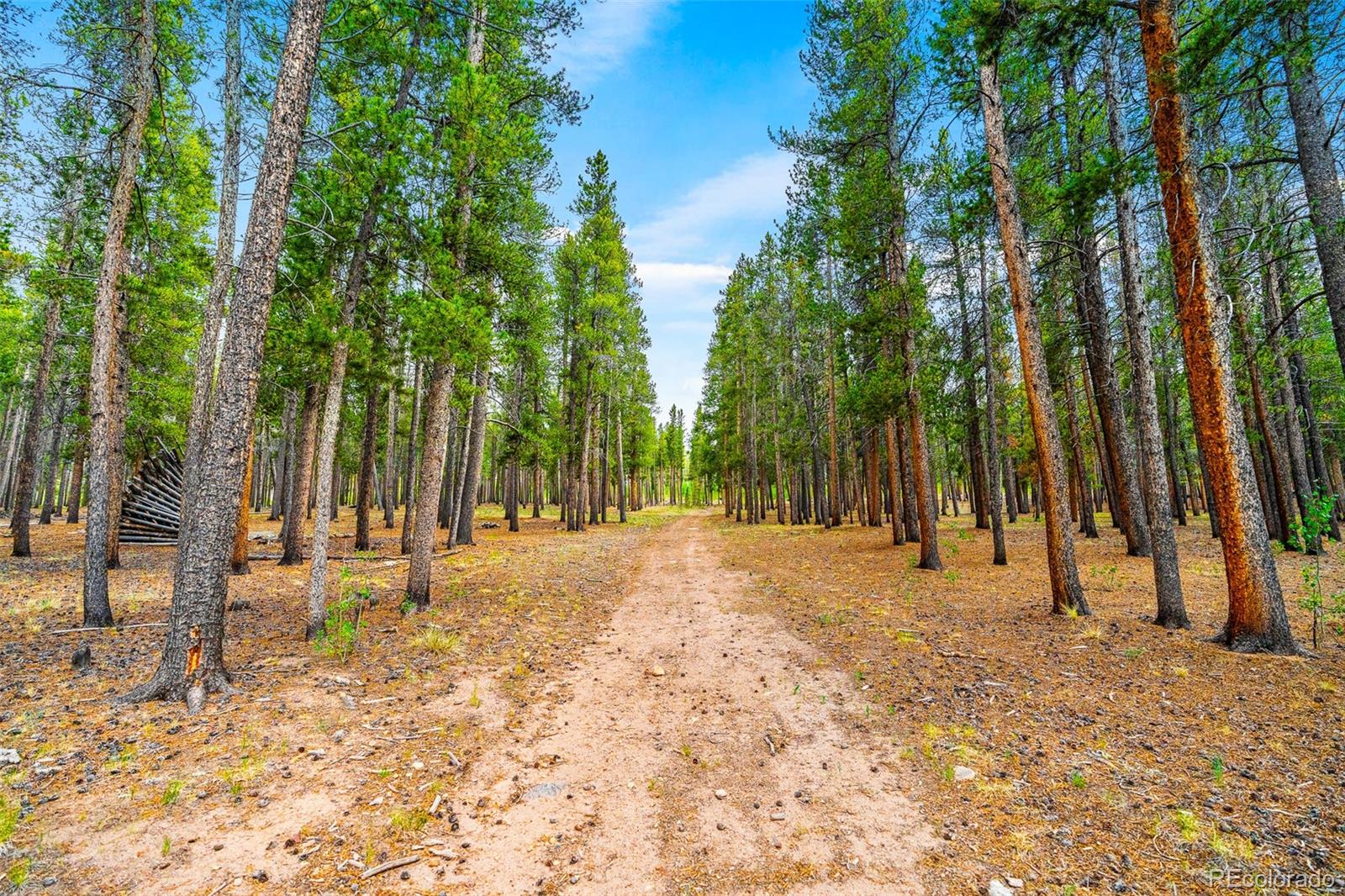 MLS Image #40 for 163  meadow view lane,fairplay, Colorado