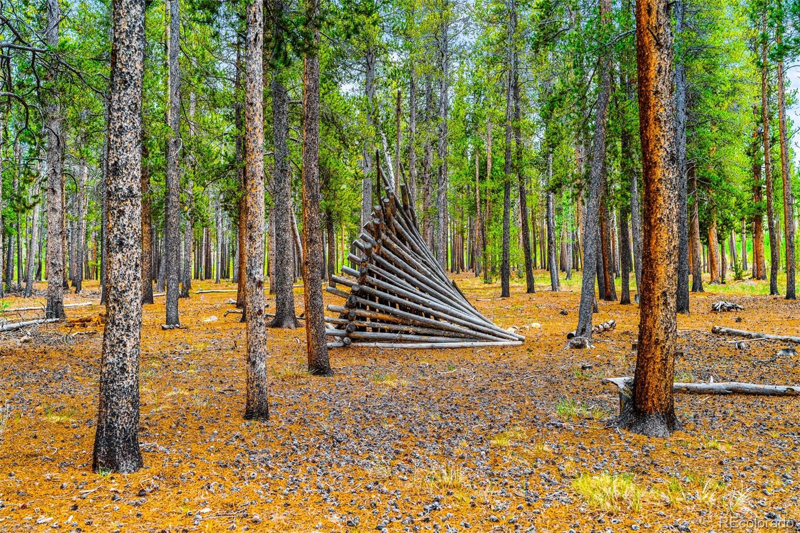 MLS Image #41 for 163  meadow view lane,fairplay, Colorado