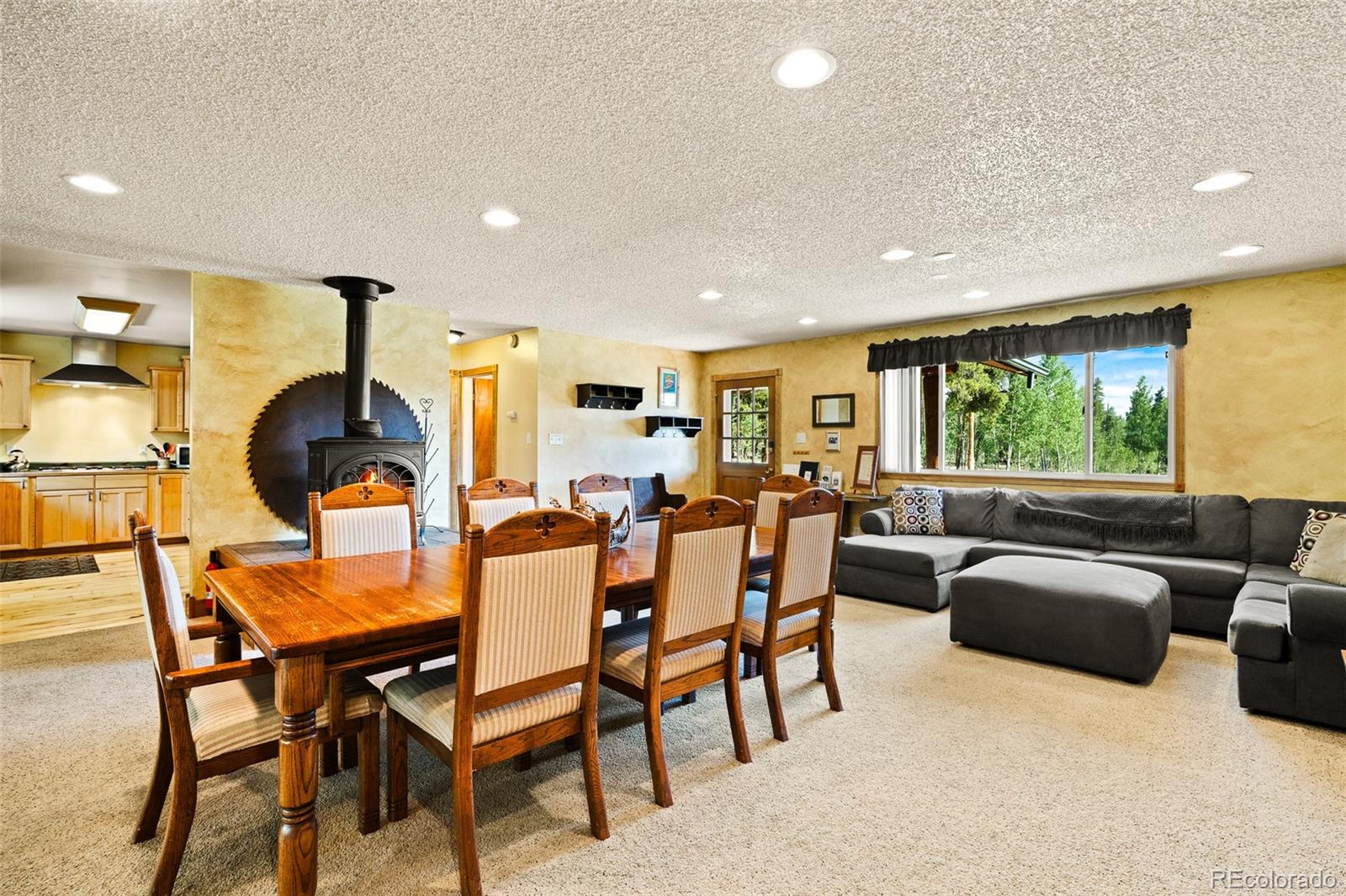 MLS Image #6 for 163  meadow view lane,fairplay, Colorado