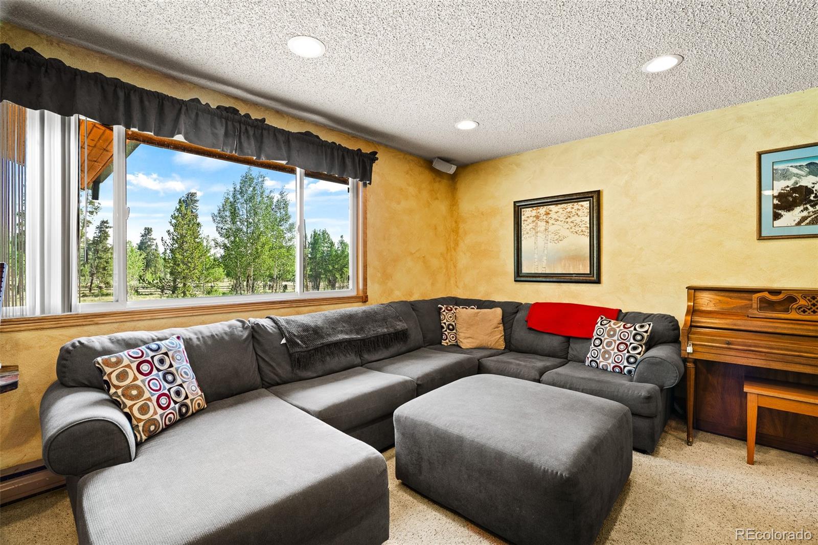 MLS Image #7 for 163  meadow view lane,fairplay, Colorado