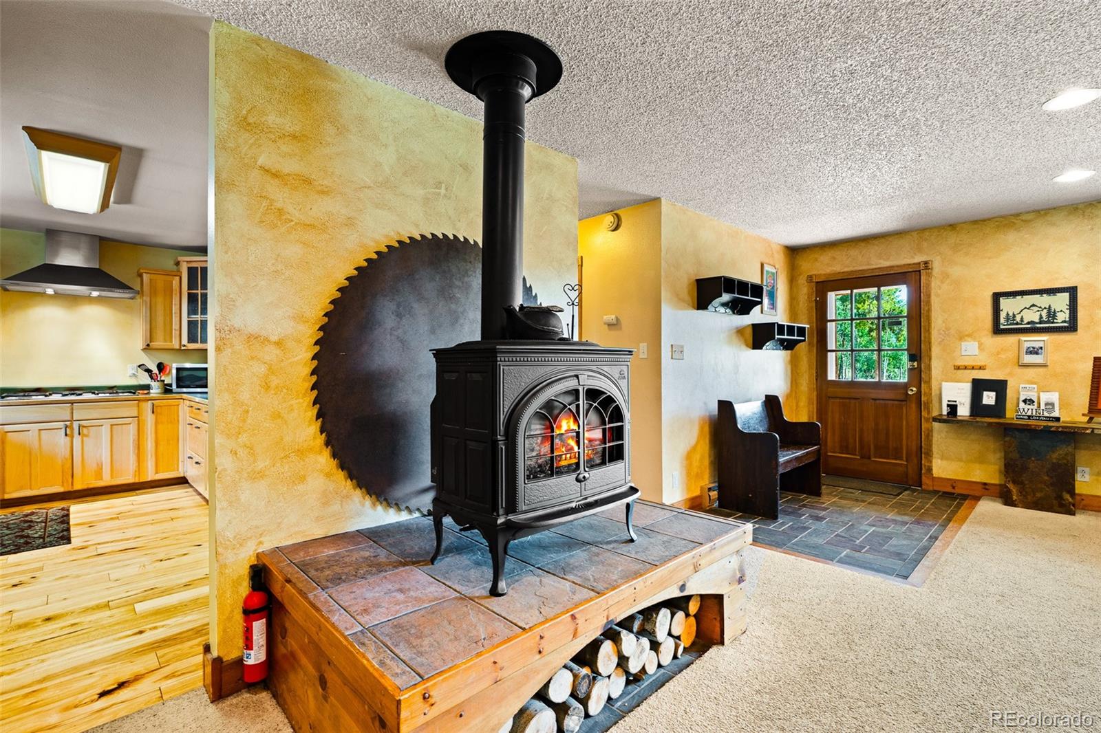 MLS Image #9 for 163  meadow view lane,fairplay, Colorado