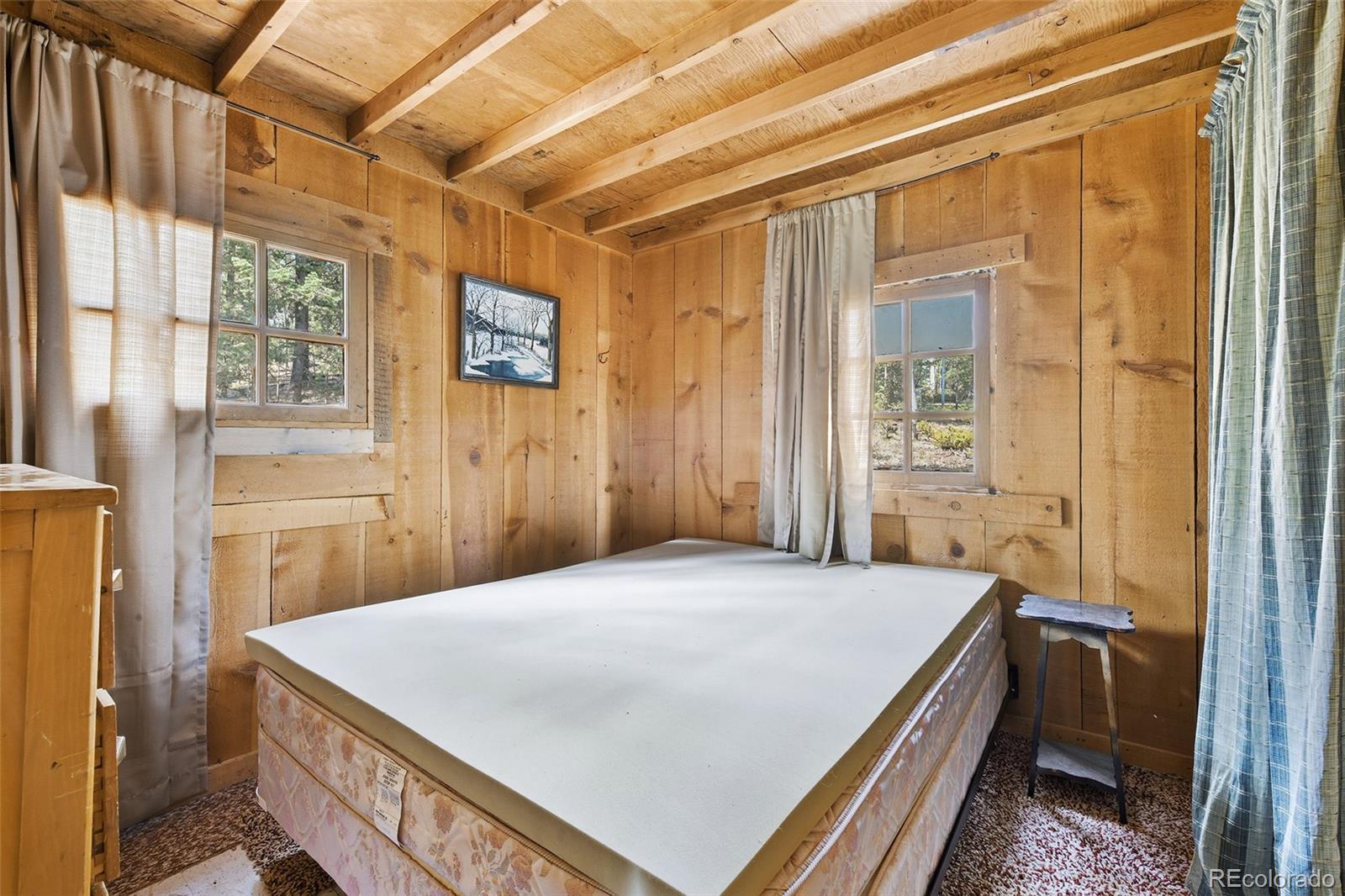 MLS Image #10 for 114  mt powderhorn lane,florissant, Colorado