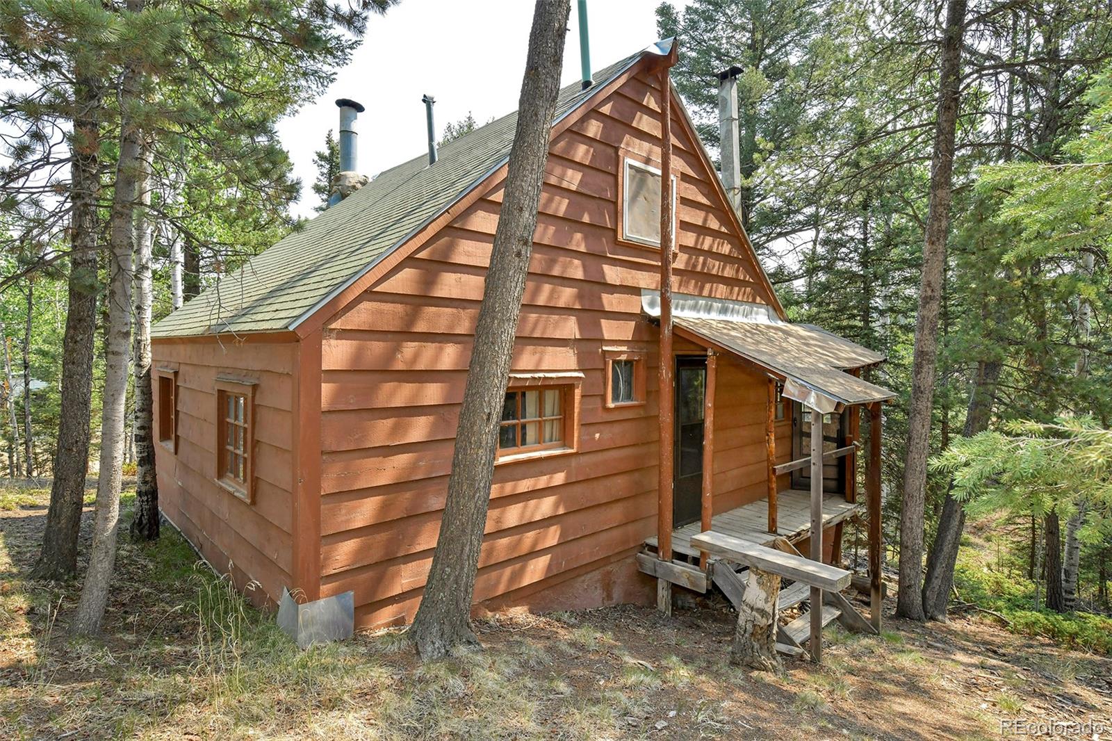 MLS Image #14 for 114  mt powderhorn lane,florissant, Colorado