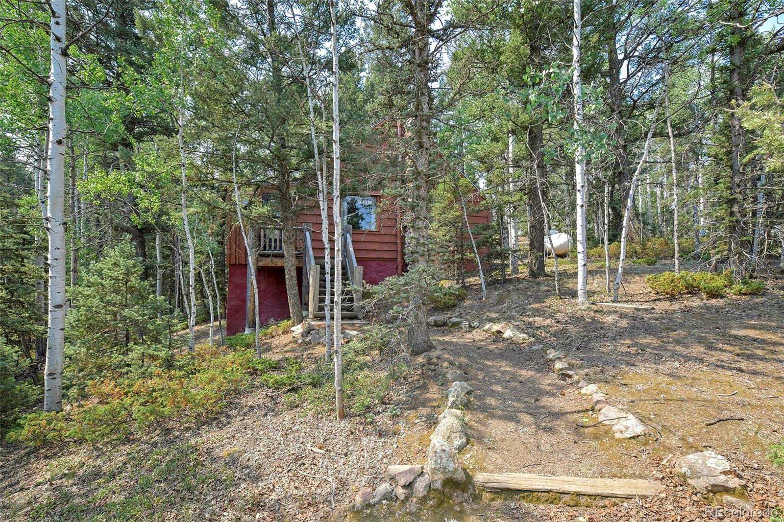 MLS Image #15 for 114  mt powderhorn lane,florissant, Colorado