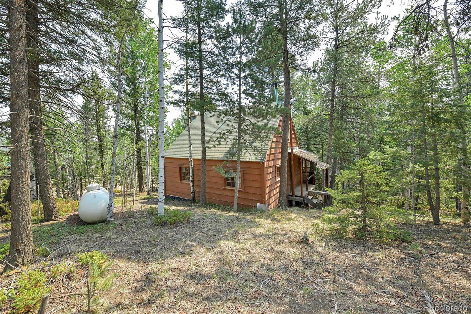 MLS Image #16 for 114  mt powderhorn lane,florissant, Colorado