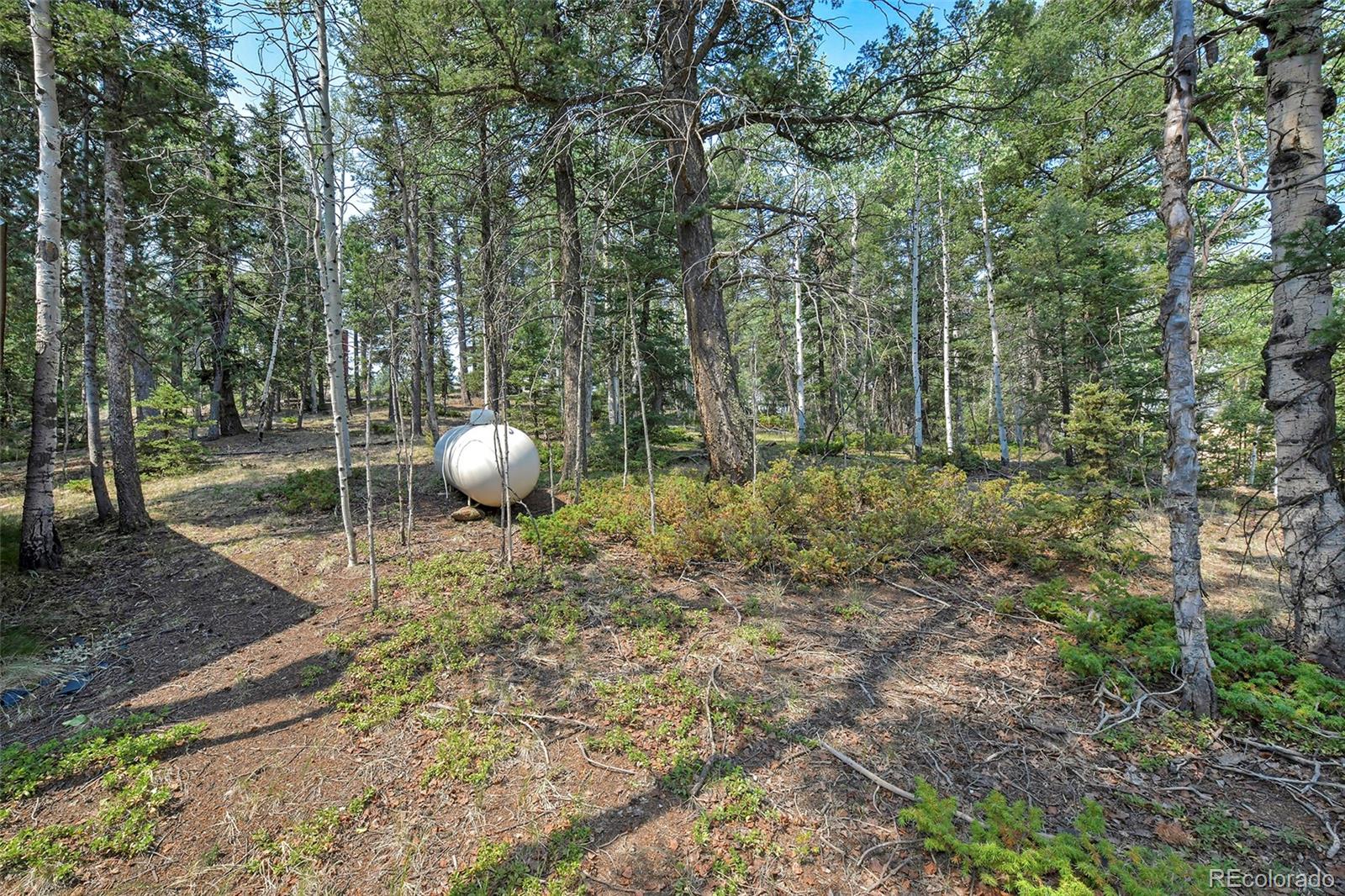 MLS Image #17 for 114  mt powderhorn lane,florissant, Colorado