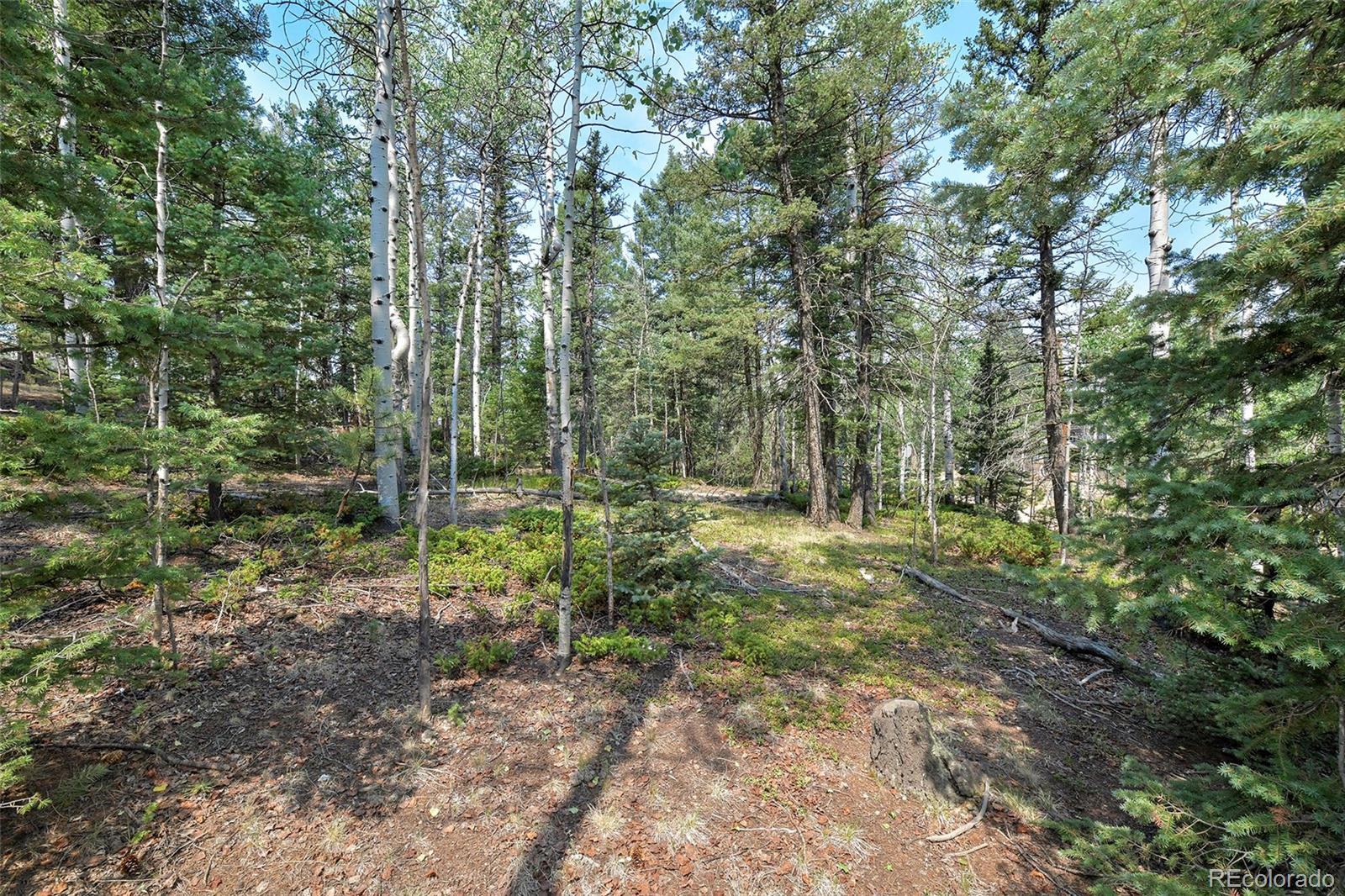 MLS Image #18 for 114  mt powderhorn lane,florissant, Colorado