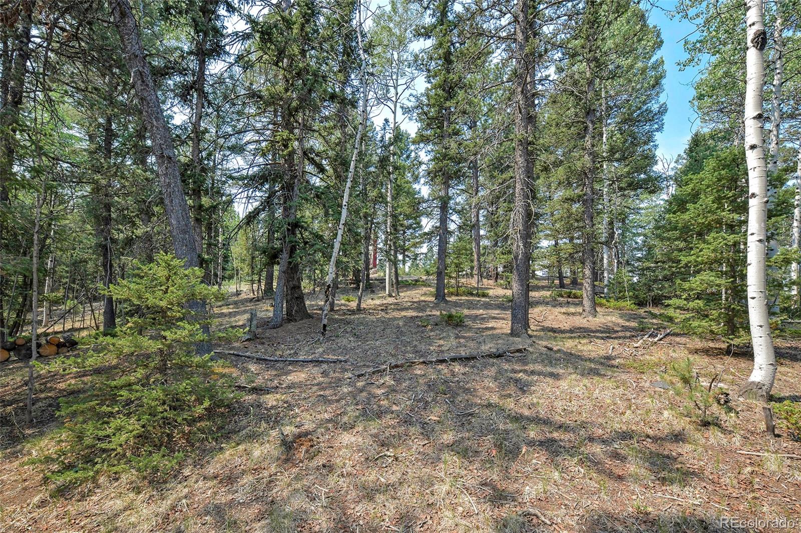 MLS Image #19 for 114  mt powderhorn lane,florissant, Colorado