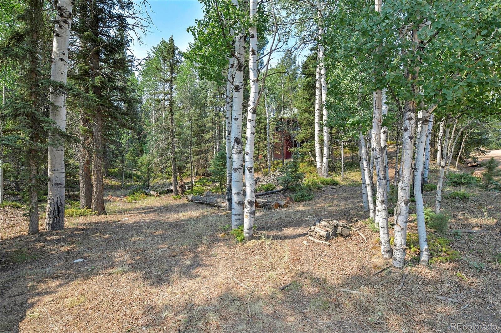 MLS Image #20 for 114  mt powderhorn lane,florissant, Colorado