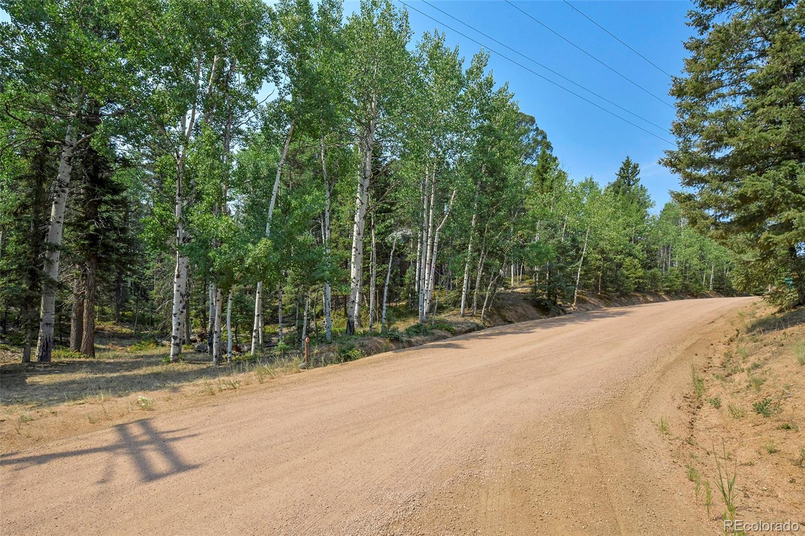 MLS Image #21 for 114  mt powderhorn lane,florissant, Colorado