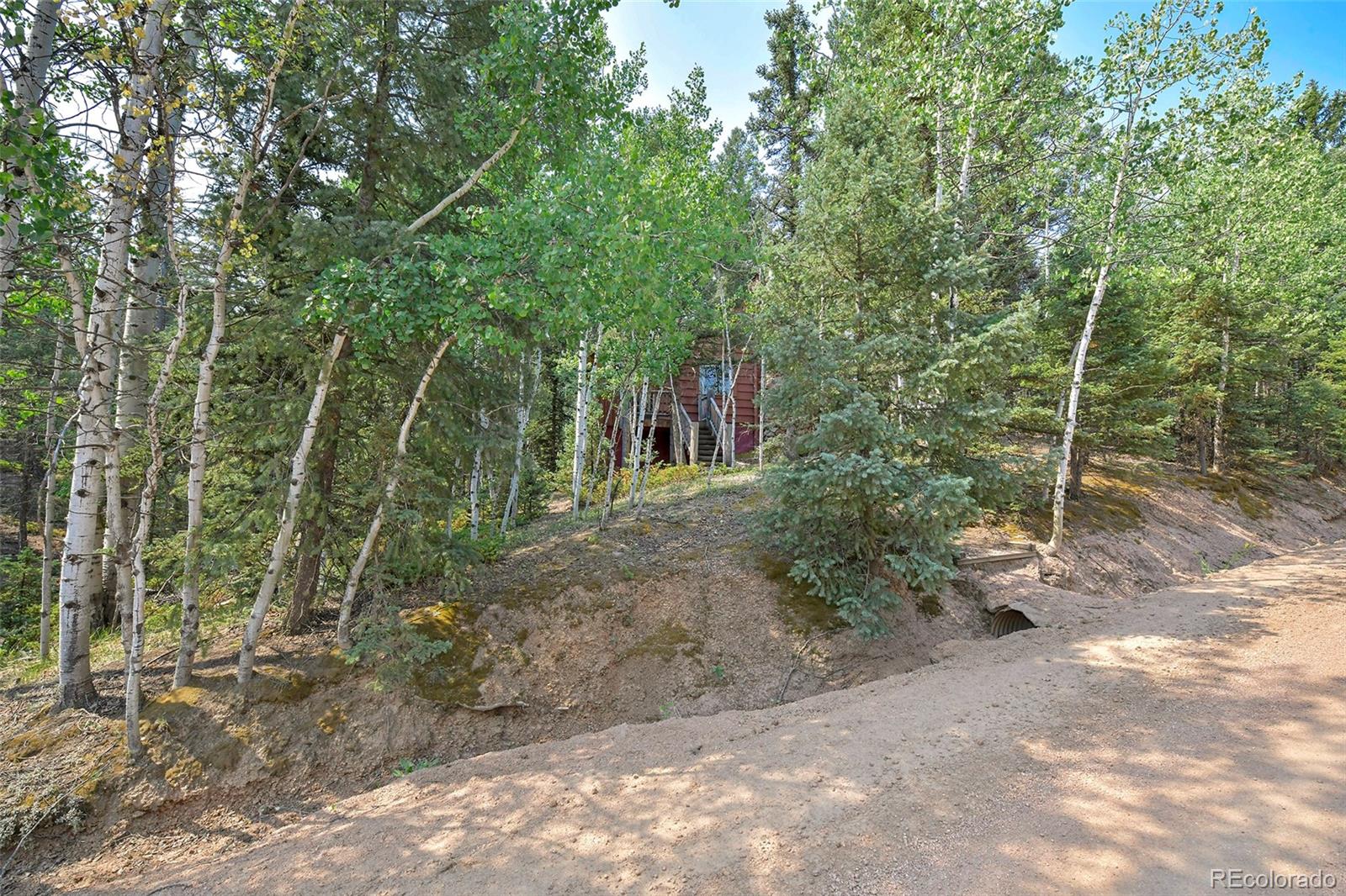 MLS Image #22 for 114  mt powderhorn lane,florissant, Colorado