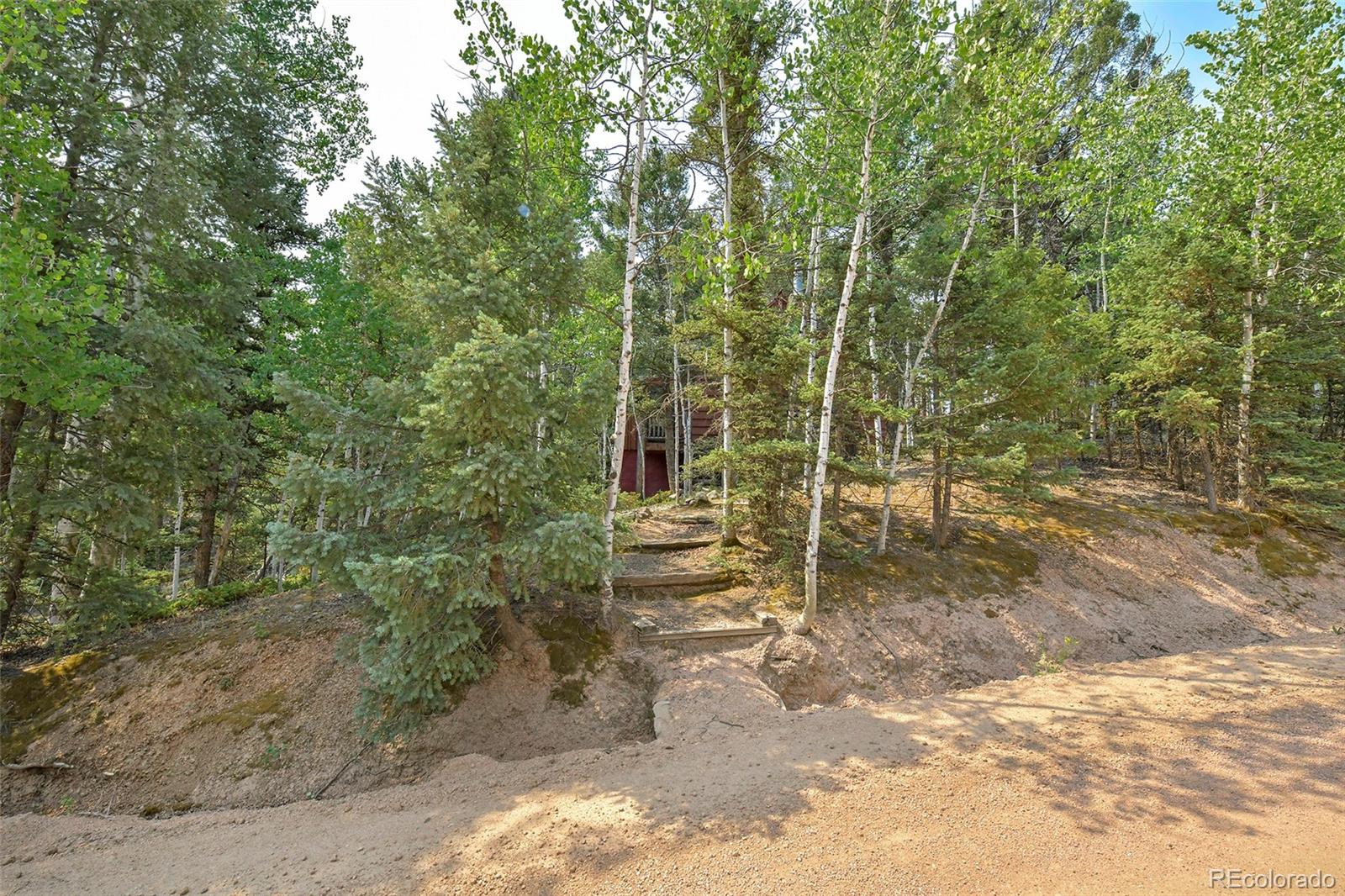 MLS Image #23 for 114  mt powderhorn lane,florissant, Colorado