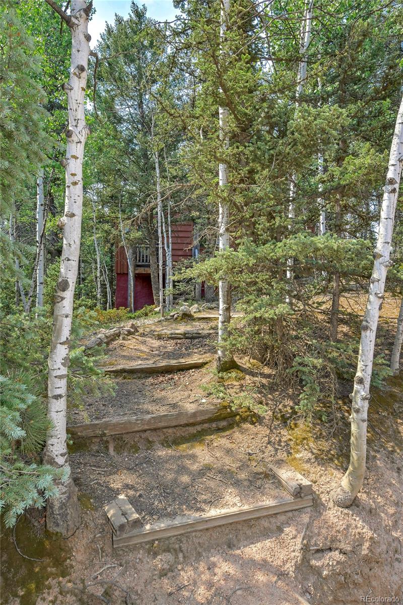 MLS Image #24 for 114  mt powderhorn lane,florissant, Colorado