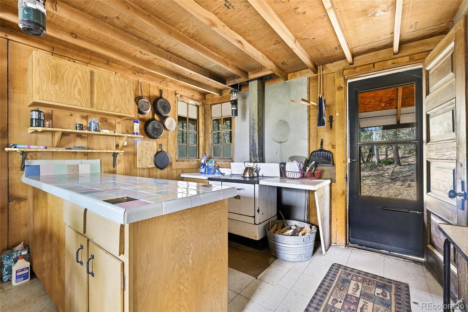 MLS Image #5 for 114  mt powderhorn lane,florissant, Colorado