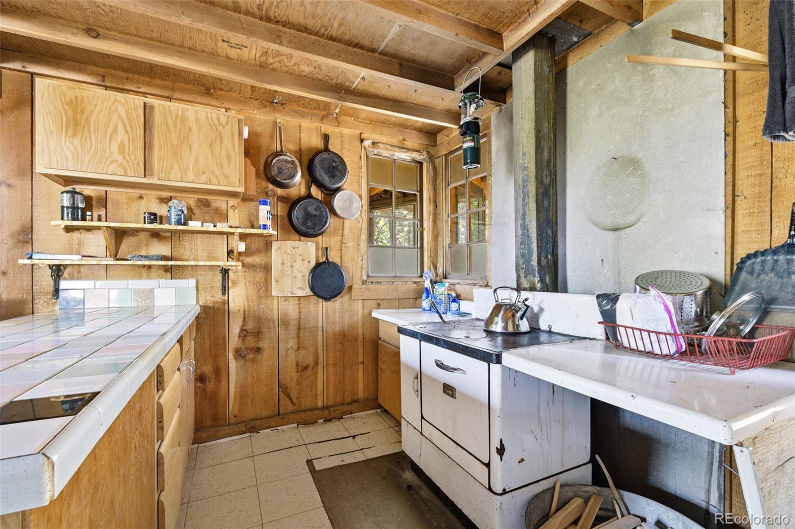 MLS Image #6 for 114  mt powderhorn lane,florissant, Colorado