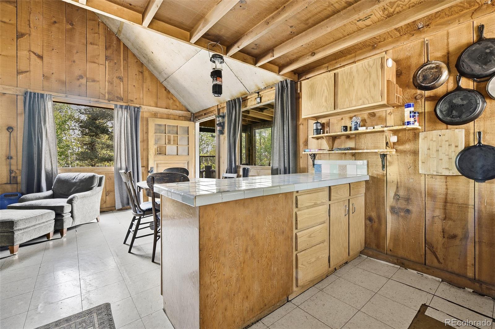 MLS Image #7 for 114  mt powderhorn lane,florissant, Colorado
