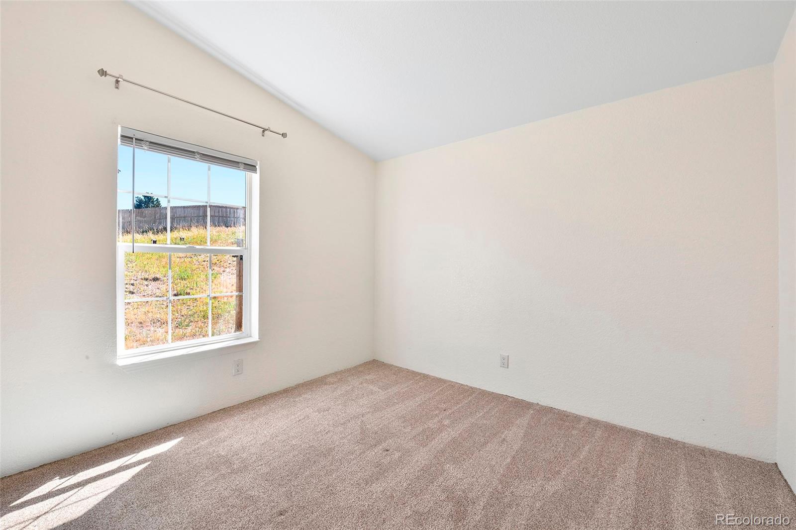 MLS Image #12 for 267  longbow drive,divide, Colorado