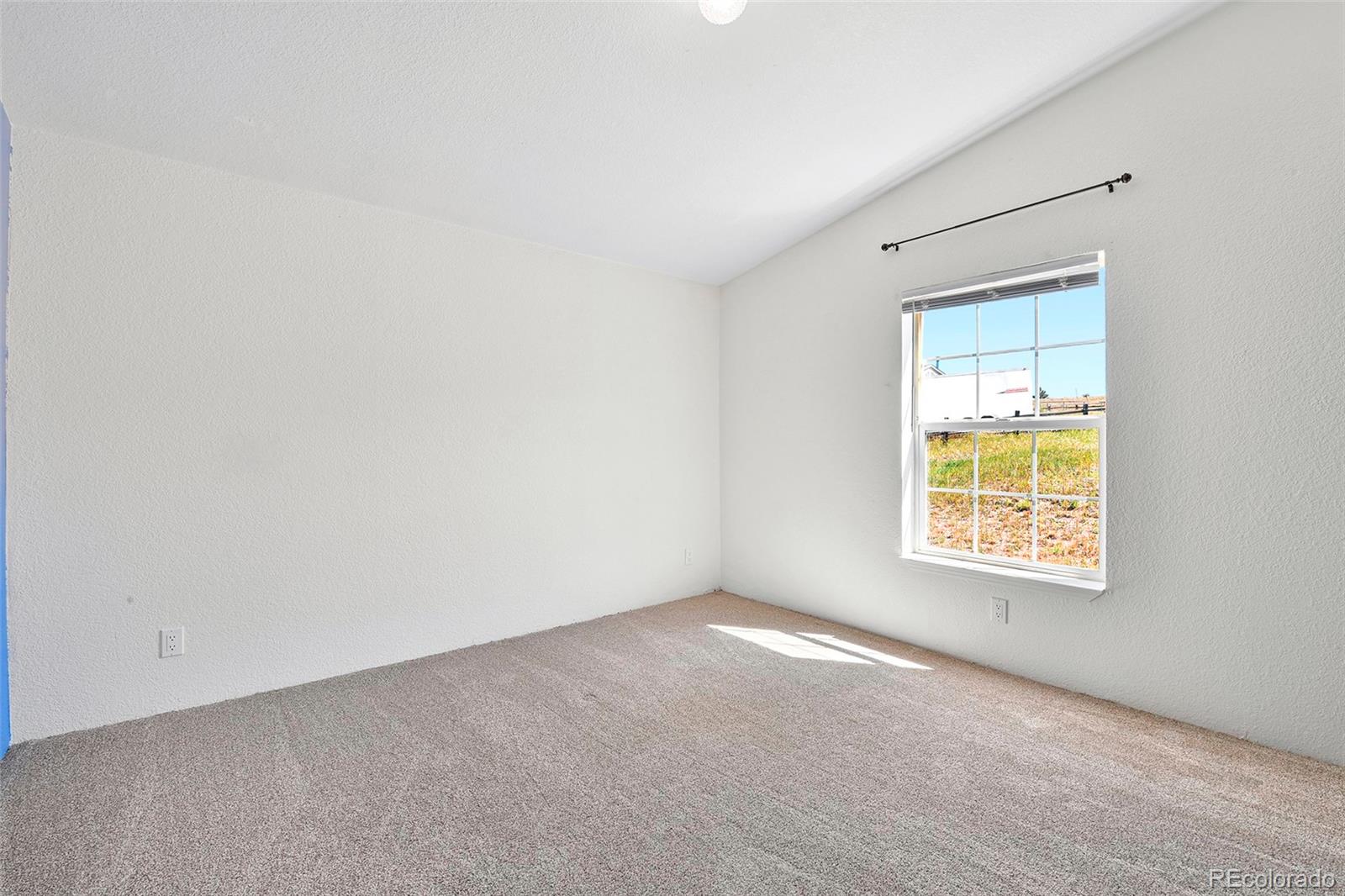 MLS Image #14 for 267  longbow drive,divide, Colorado
