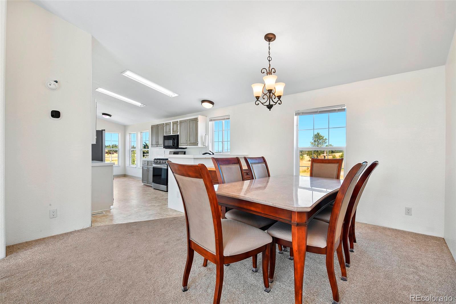 MLS Image #18 for 267  longbow drive,divide, Colorado