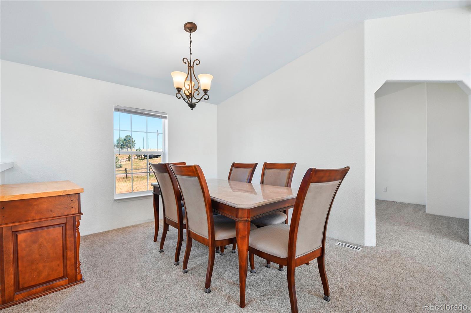 MLS Image #19 for 267  longbow drive,divide, Colorado