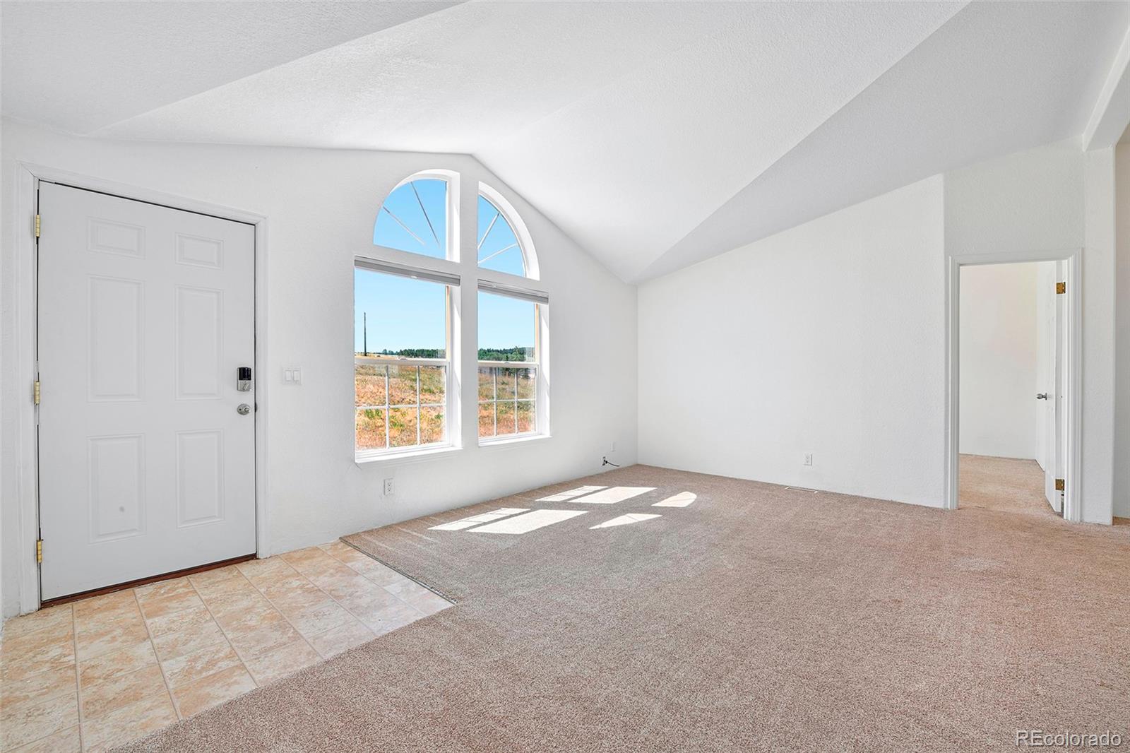 MLS Image #3 for 267  longbow drive,divide, Colorado