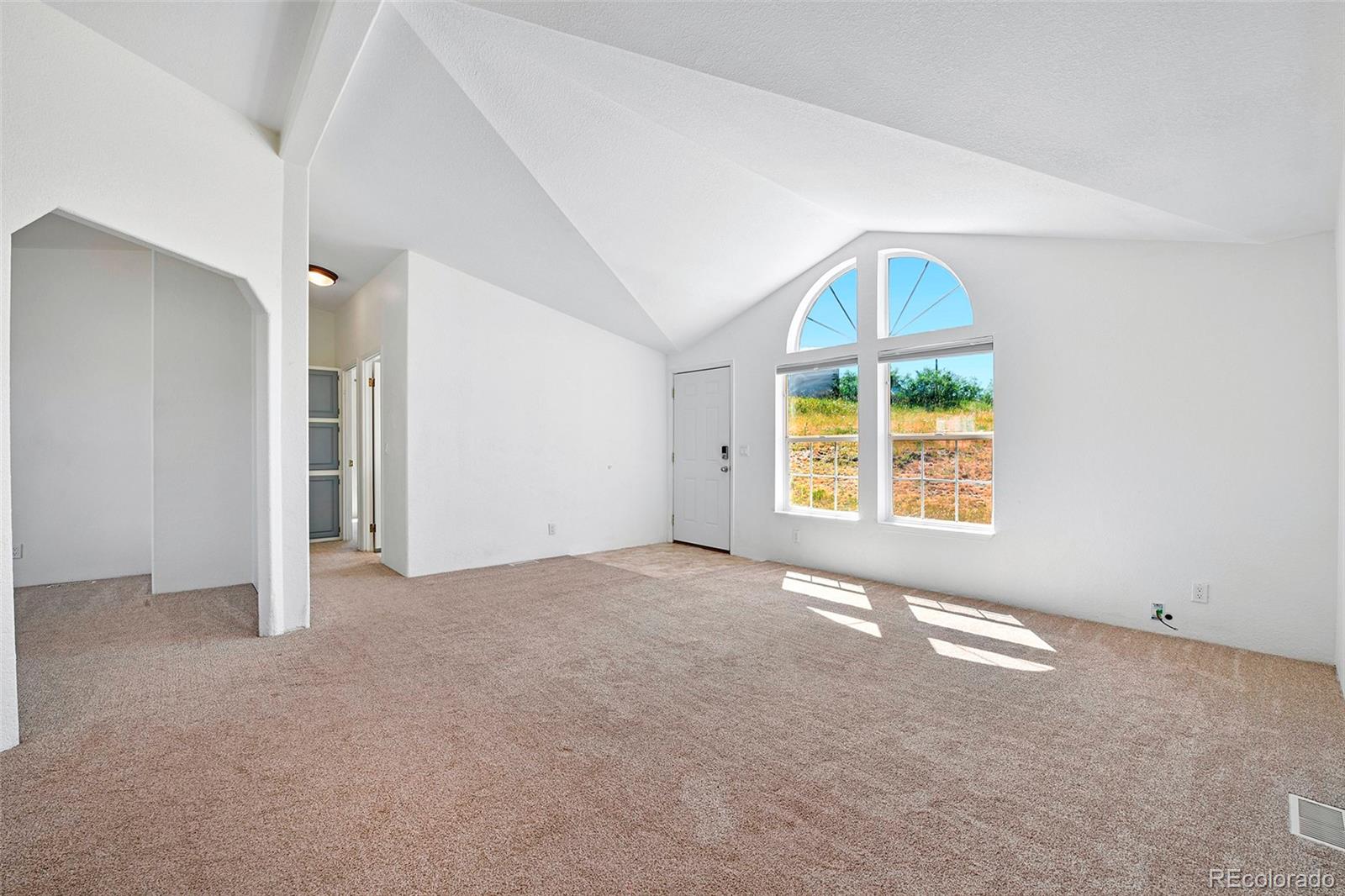 MLS Image #4 for 267  longbow drive,divide, Colorado