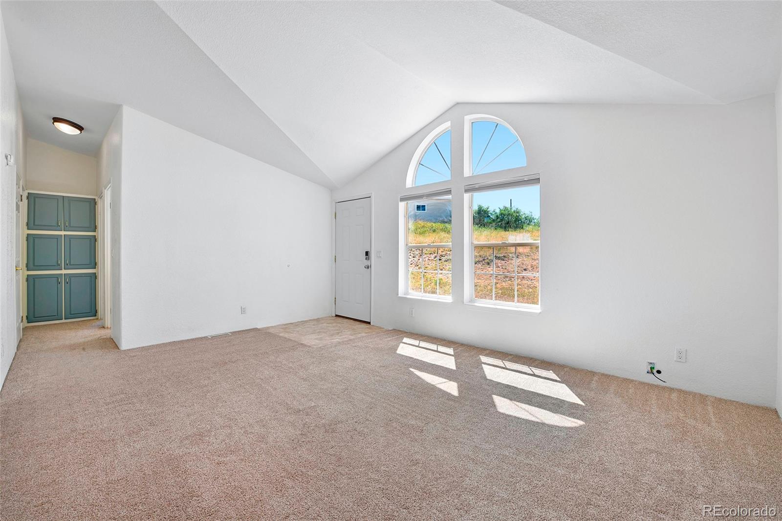 MLS Image #5 for 267  longbow drive,divide, Colorado