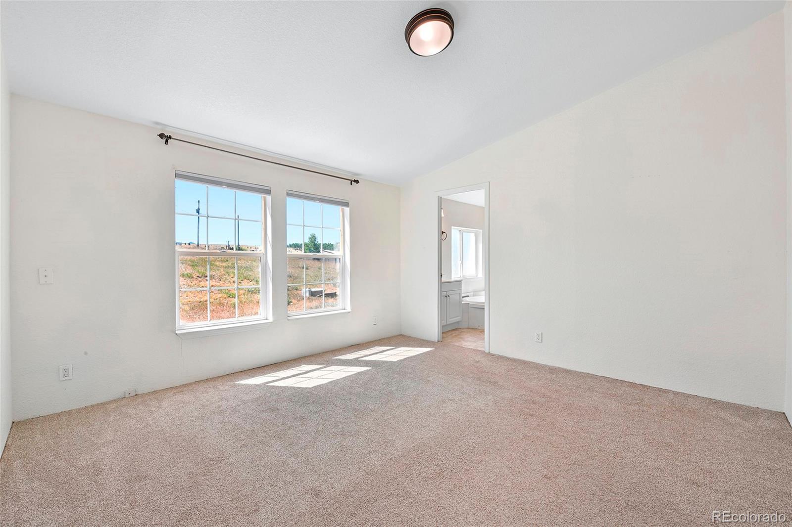 MLS Image #6 for 267  longbow drive,divide, Colorado