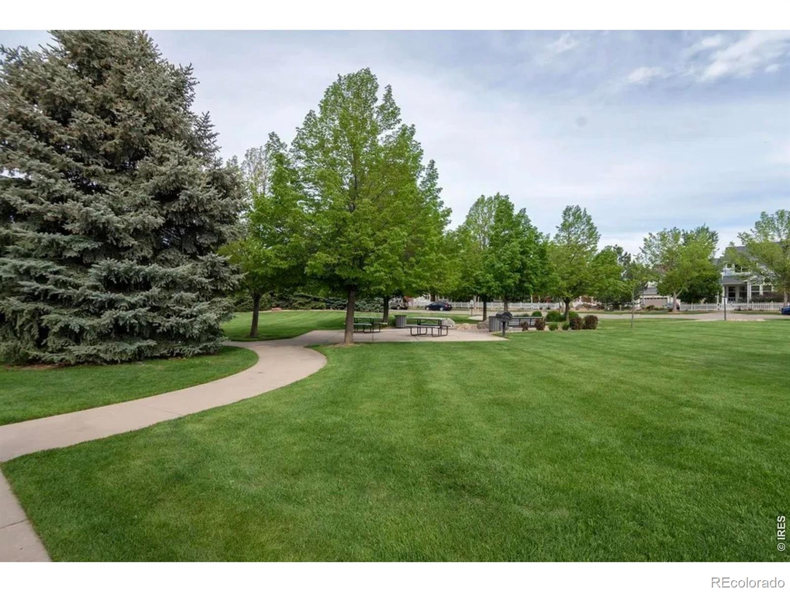 MLS Image #2 for 4045  temple gulch circle,loveland, Colorado