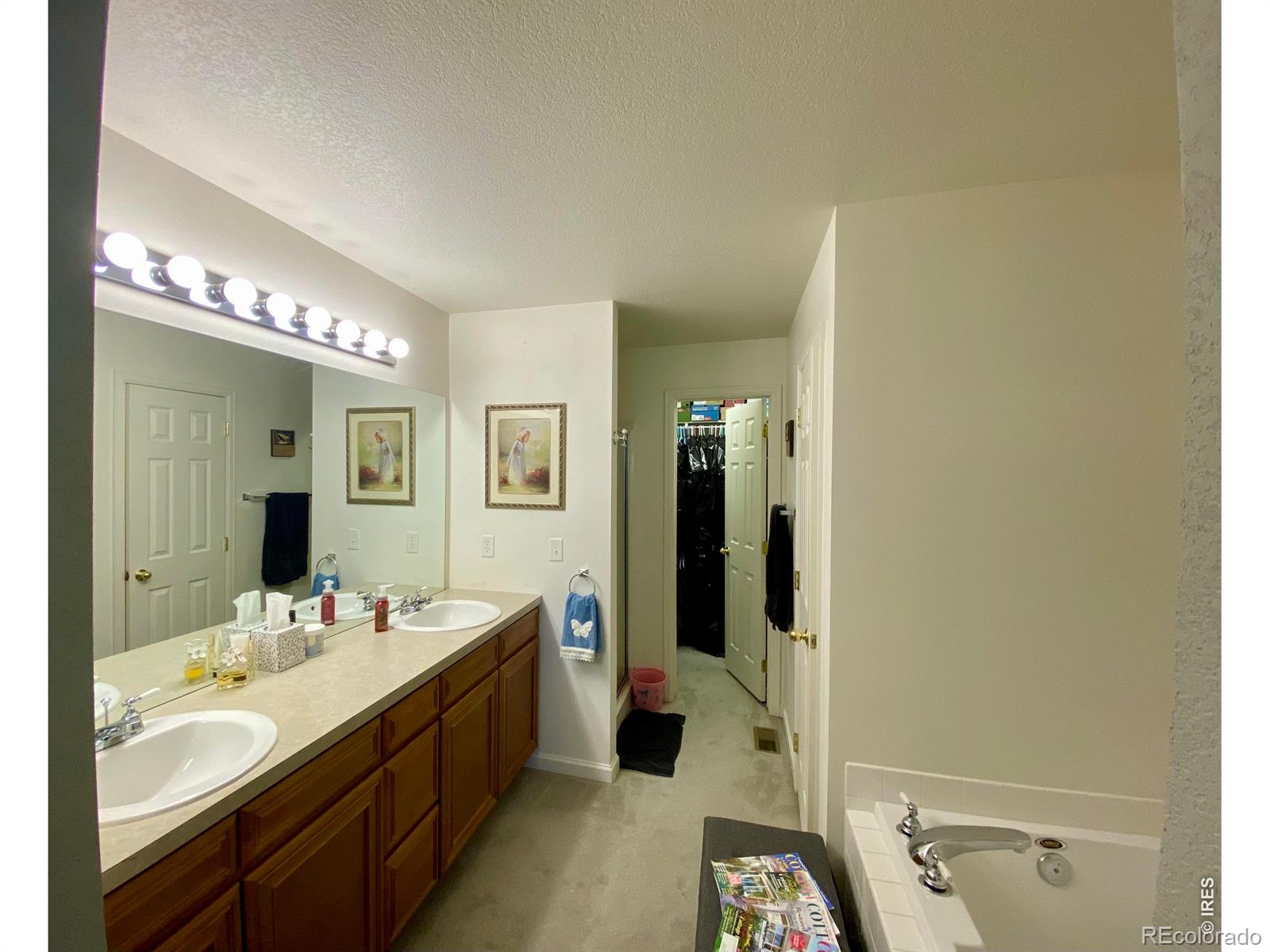 MLS Image #9 for 4045  temple gulch circle,loveland, Colorado