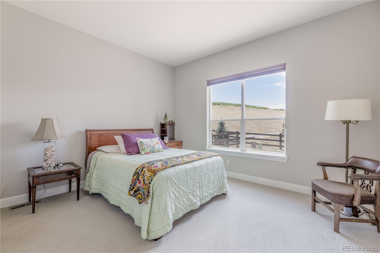 MLS Image #19 for 708  alumroot street,castle rock, Colorado