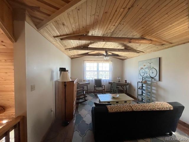 MLS Image #18 for 906  huntington lane,fort garland, Colorado