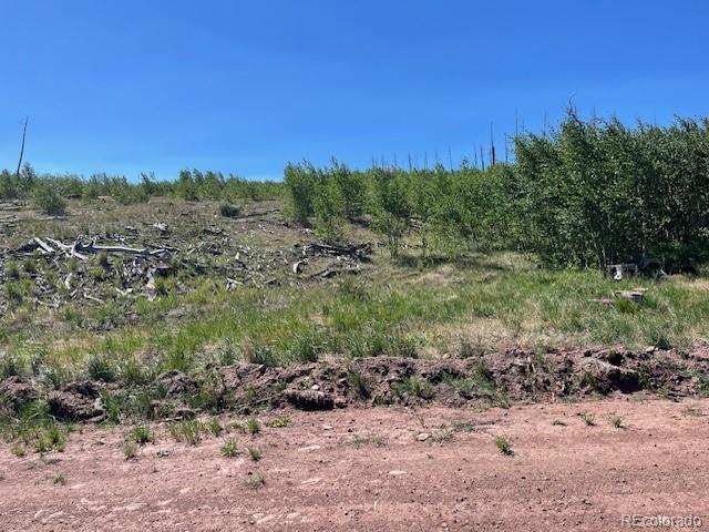 MLS Image #40 for 906  huntington lane,fort garland, Colorado