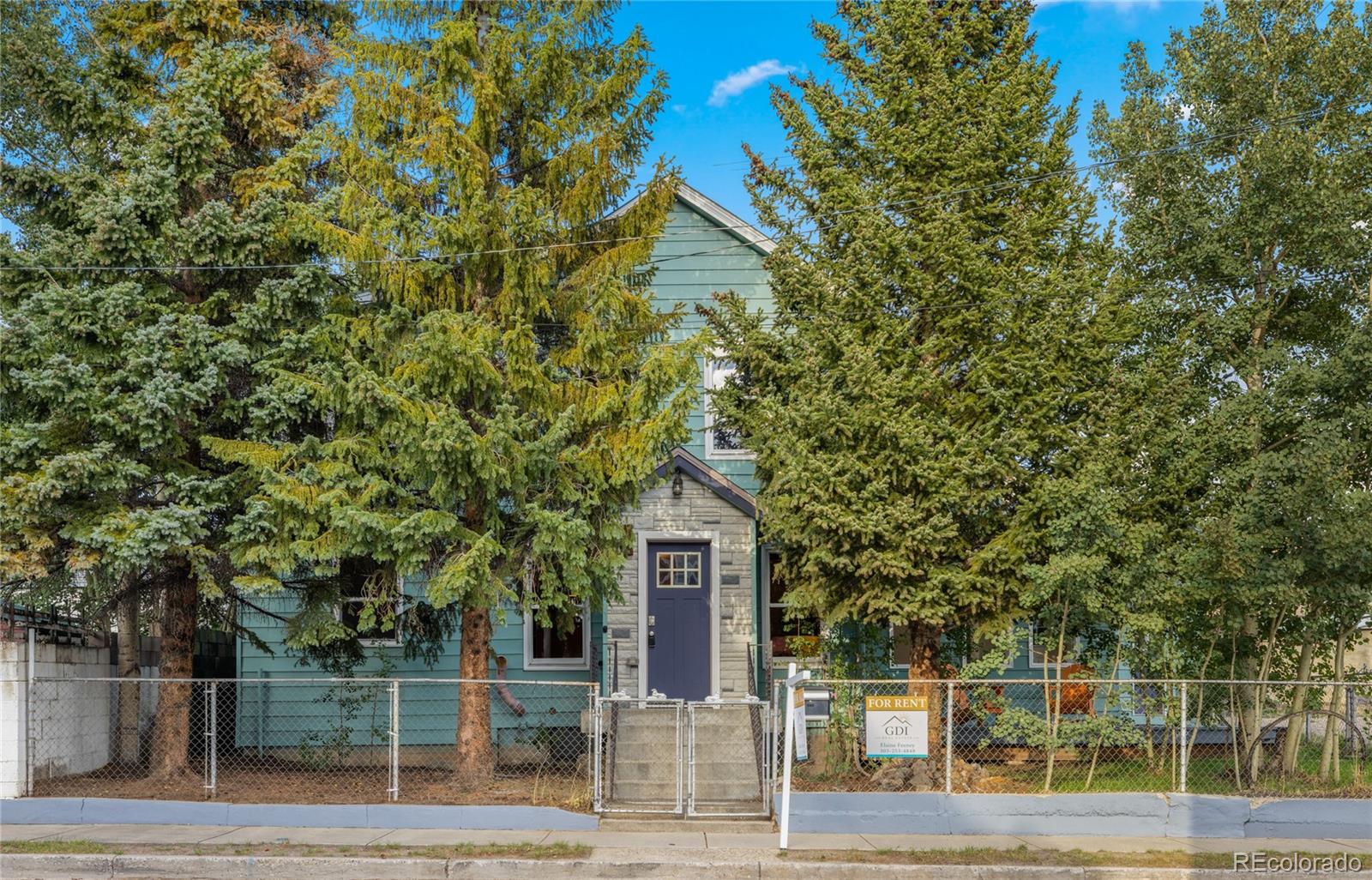 MLS Image #0 for 610  poplar street,leadville, Colorado