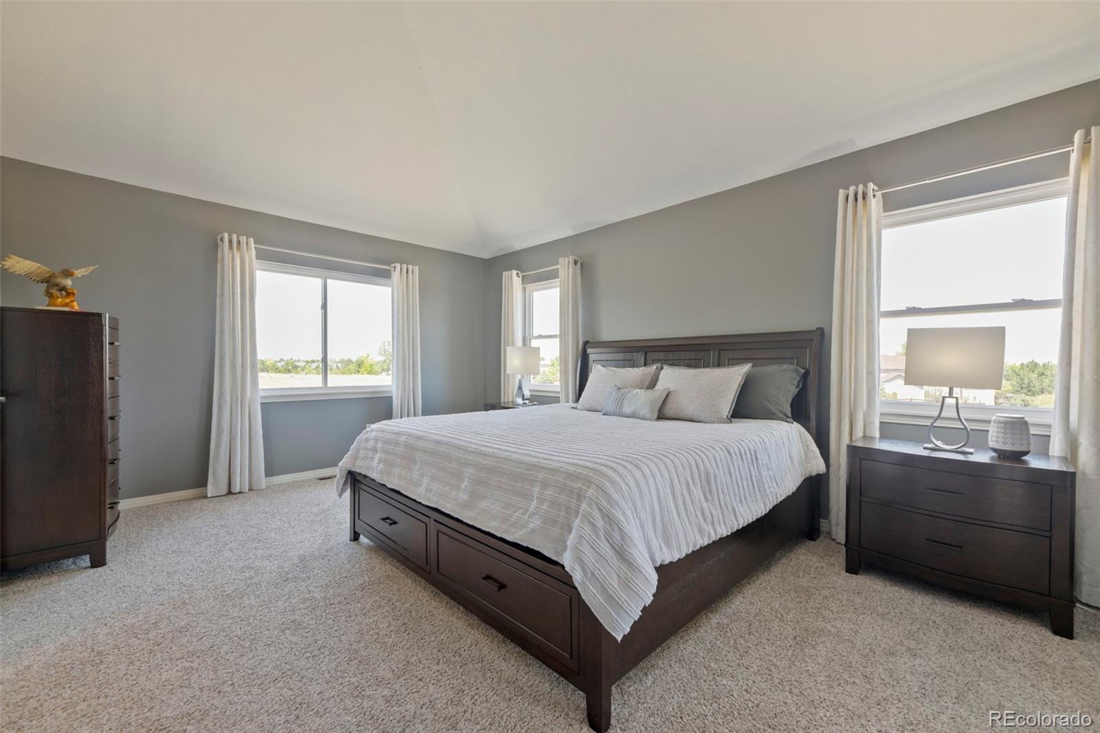 MLS Image #21 for 9102  white pelican way,littleton, Colorado