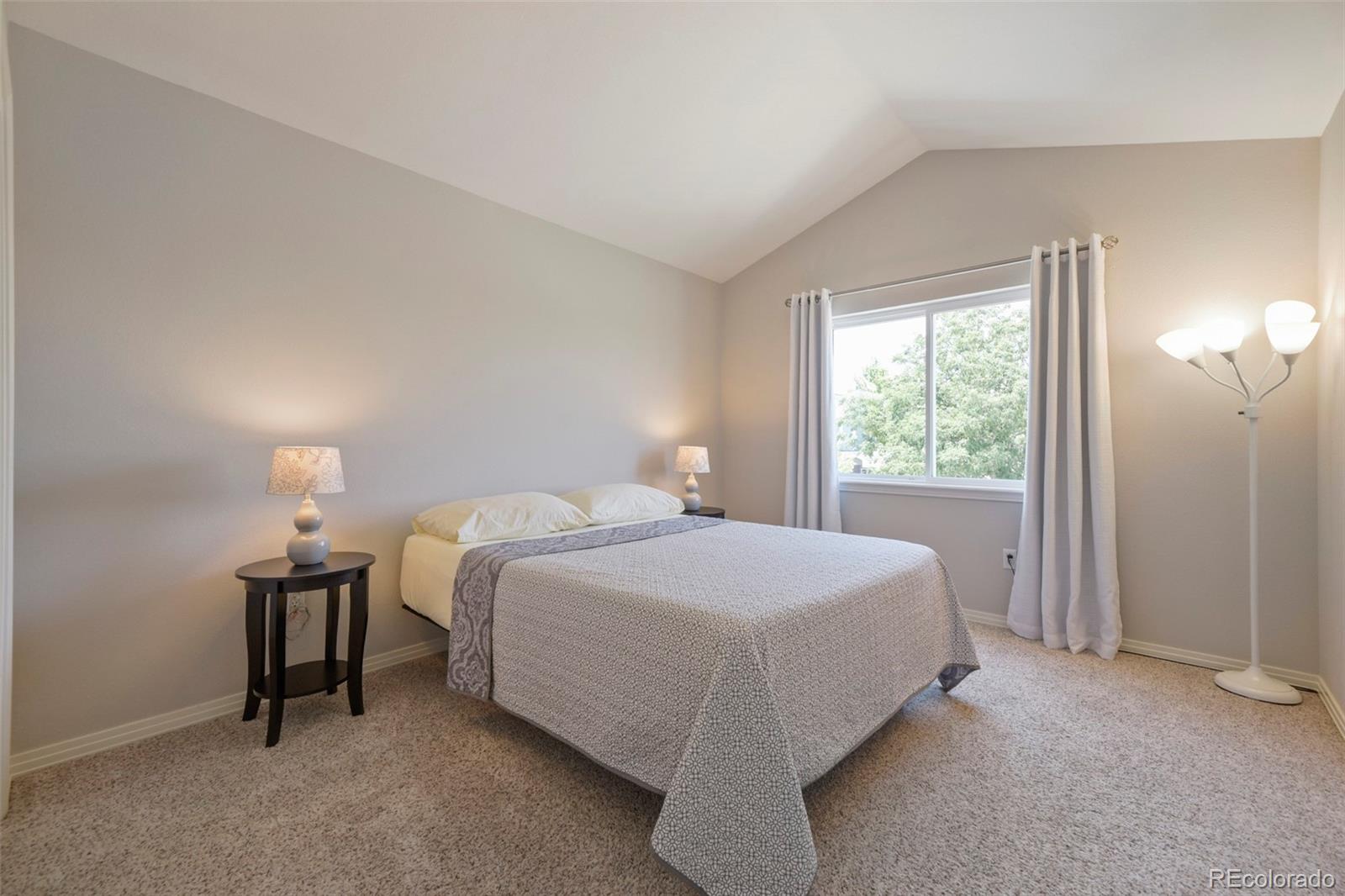 MLS Image #30 for 9102  white pelican way,littleton, Colorado