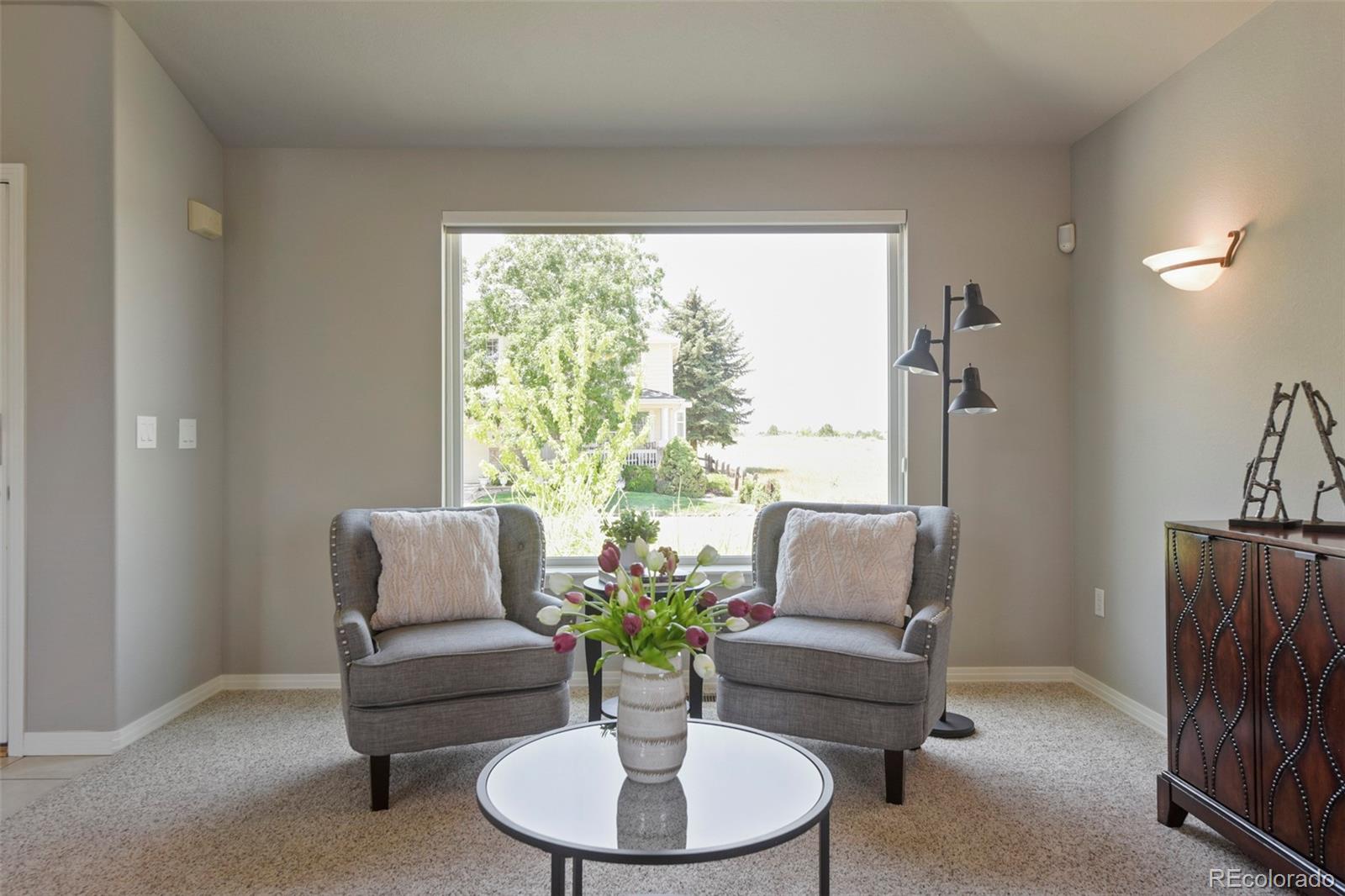 MLS Image #4 for 9102  white pelican way,littleton, Colorado