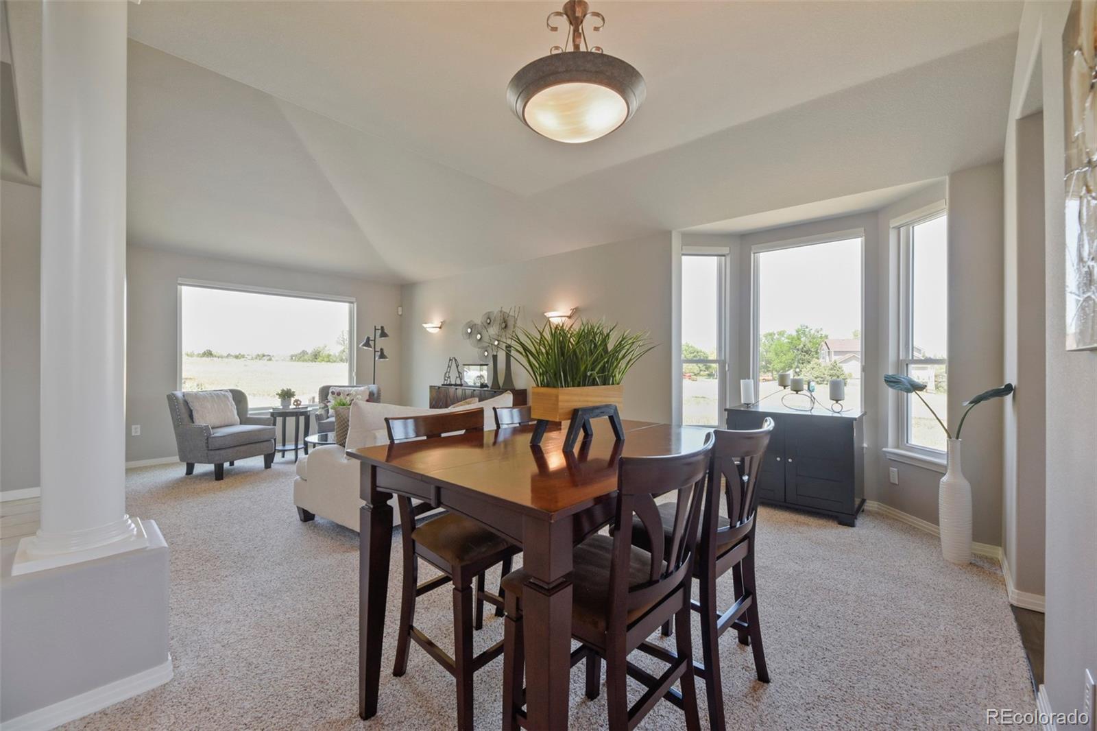 MLS Image #6 for 9102  white pelican way,littleton, Colorado