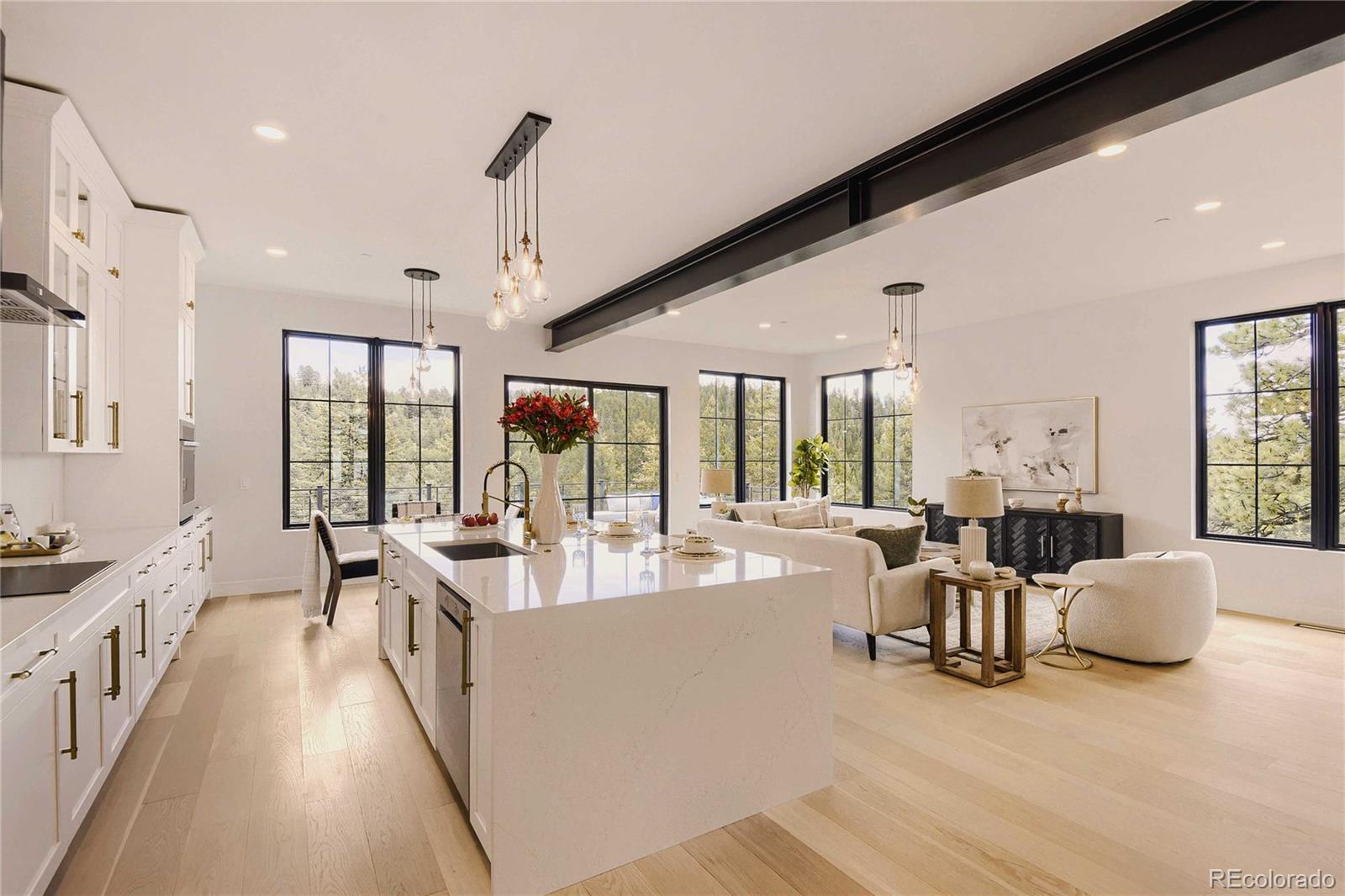 MLS Image #13 for 7132  lynx lair road,evergreen, Colorado