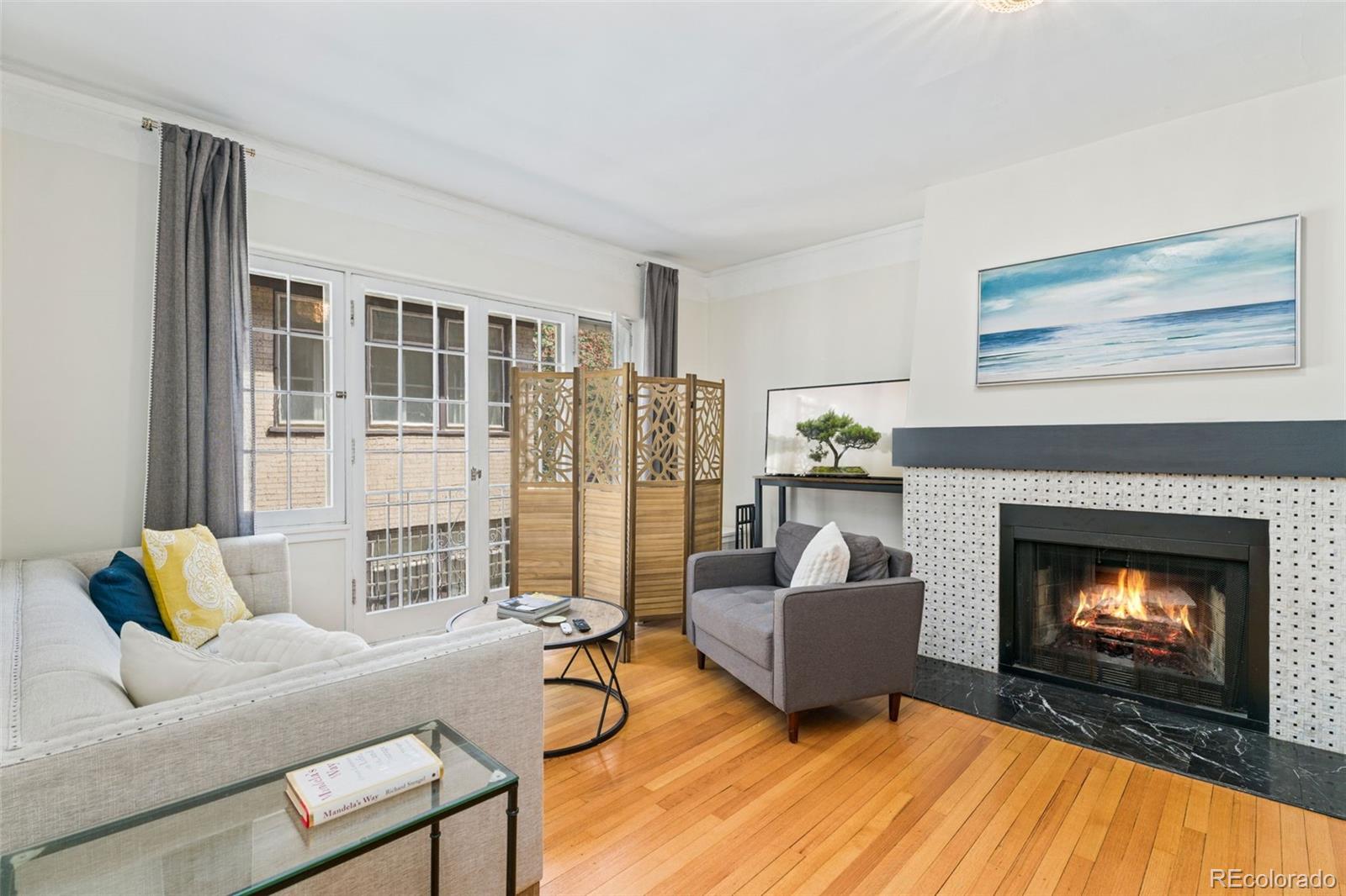 MLS Image #11 for 1515 e 9th avenue,denver, Colorado