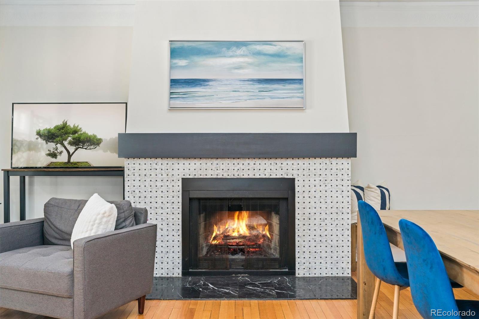 MLS Image #12 for 1515 e 9th avenue,denver, Colorado