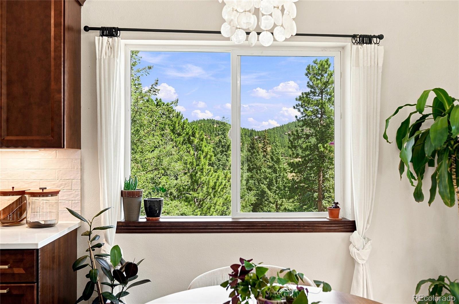MLS Image #16 for 3477  independence trail,kittredge, Colorado