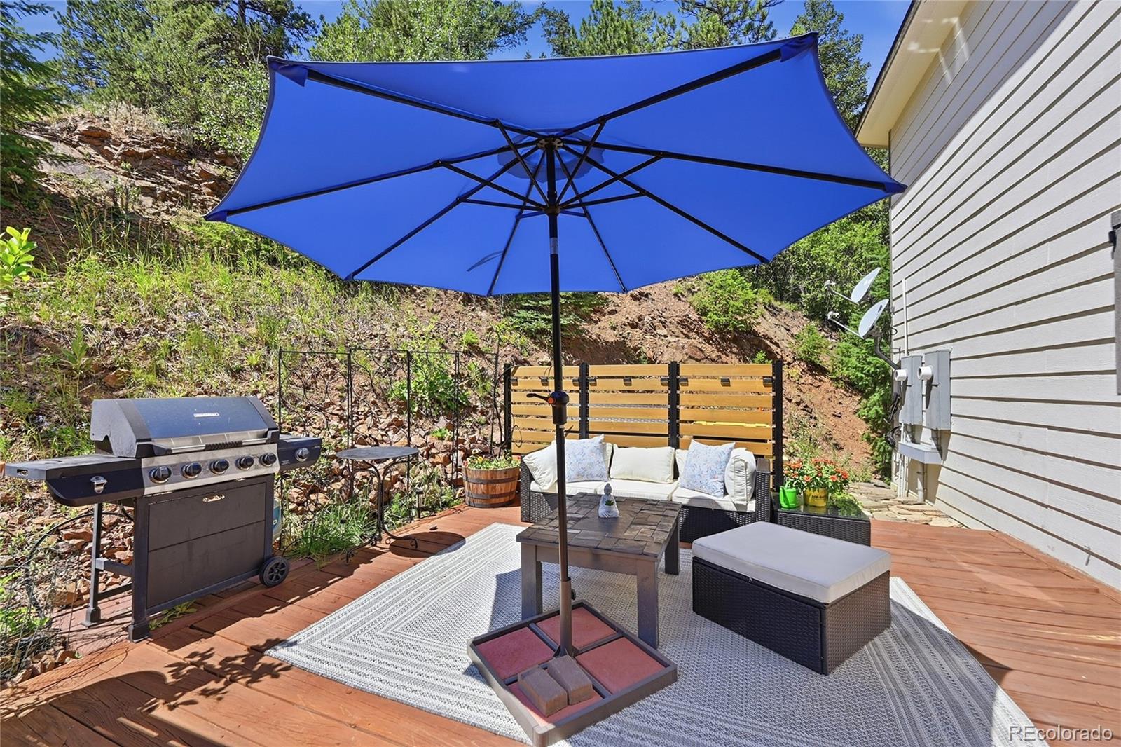 MLS Image #28 for 3477  independence trail,kittredge, Colorado